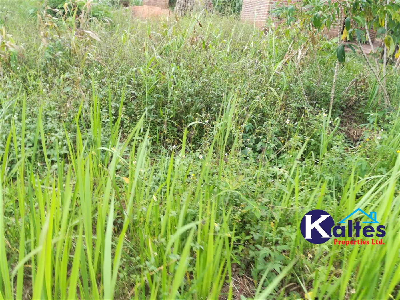 Residential Land for sale in Namayiba Mukono