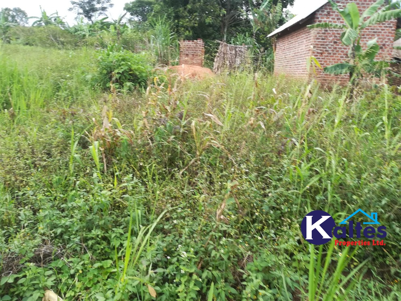 Residential Land for sale in Namayiba Mukono