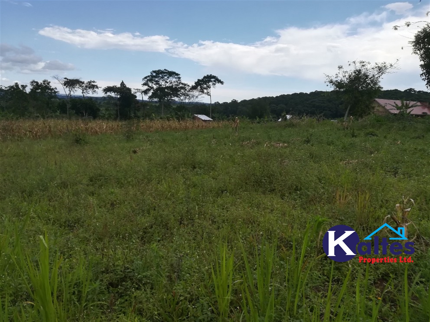 Residential Land for sale in Namayiba Mukono