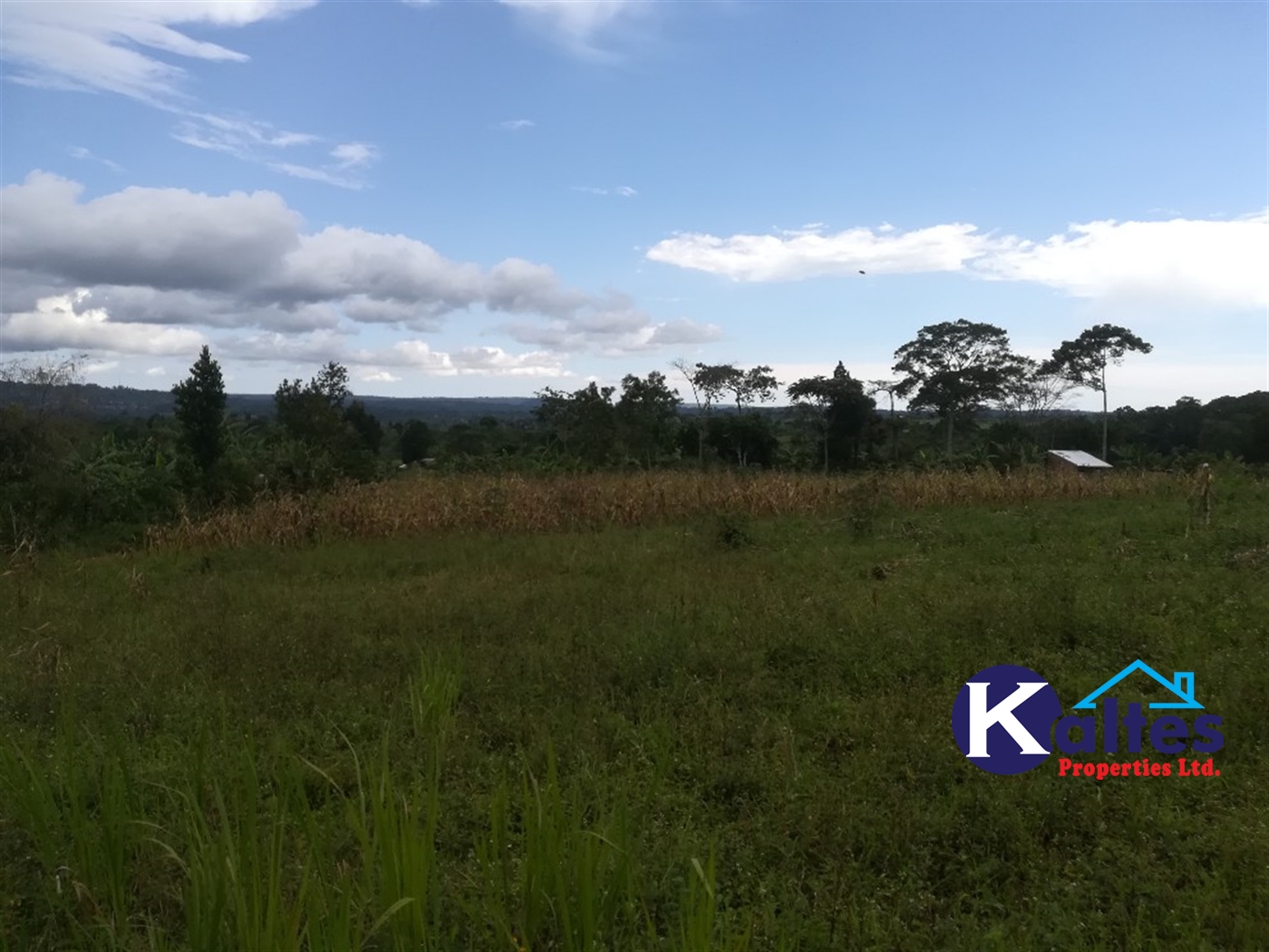 Residential Land for sale in Namayiba Mukono