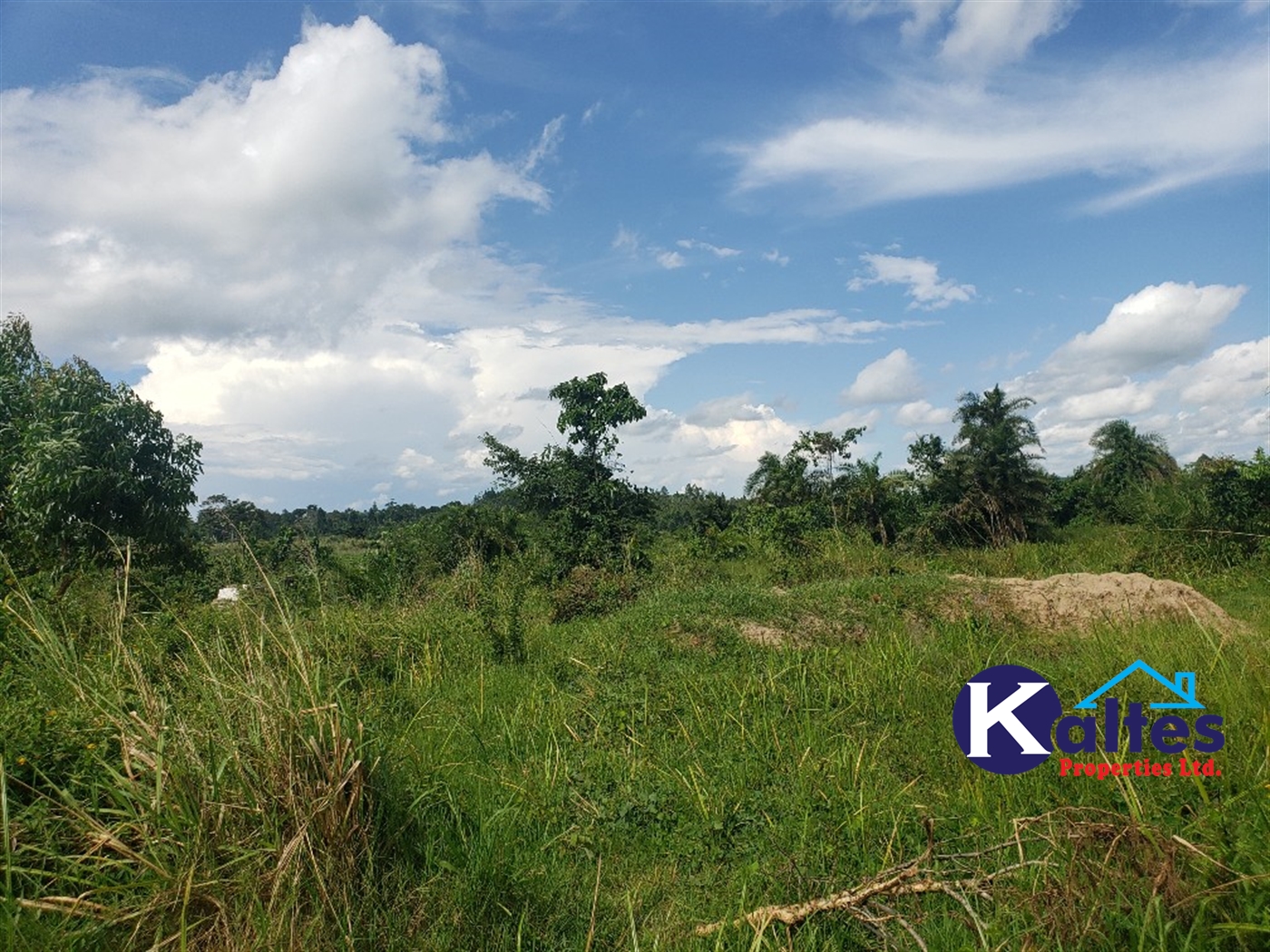 Agricultural Land for sale in Banagonera Kayunga