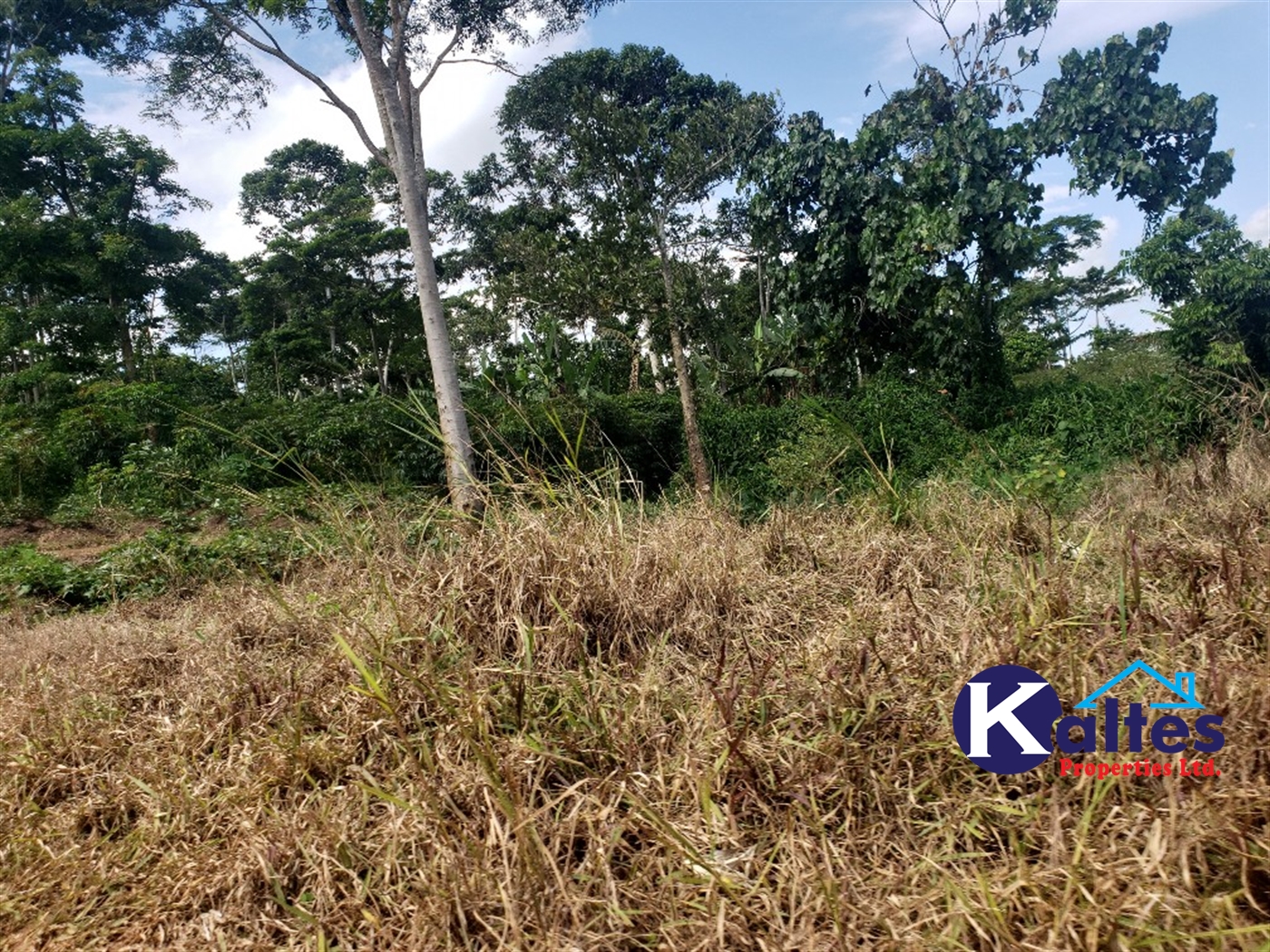 Agricultural Land for sale in Banagonera Kayunga