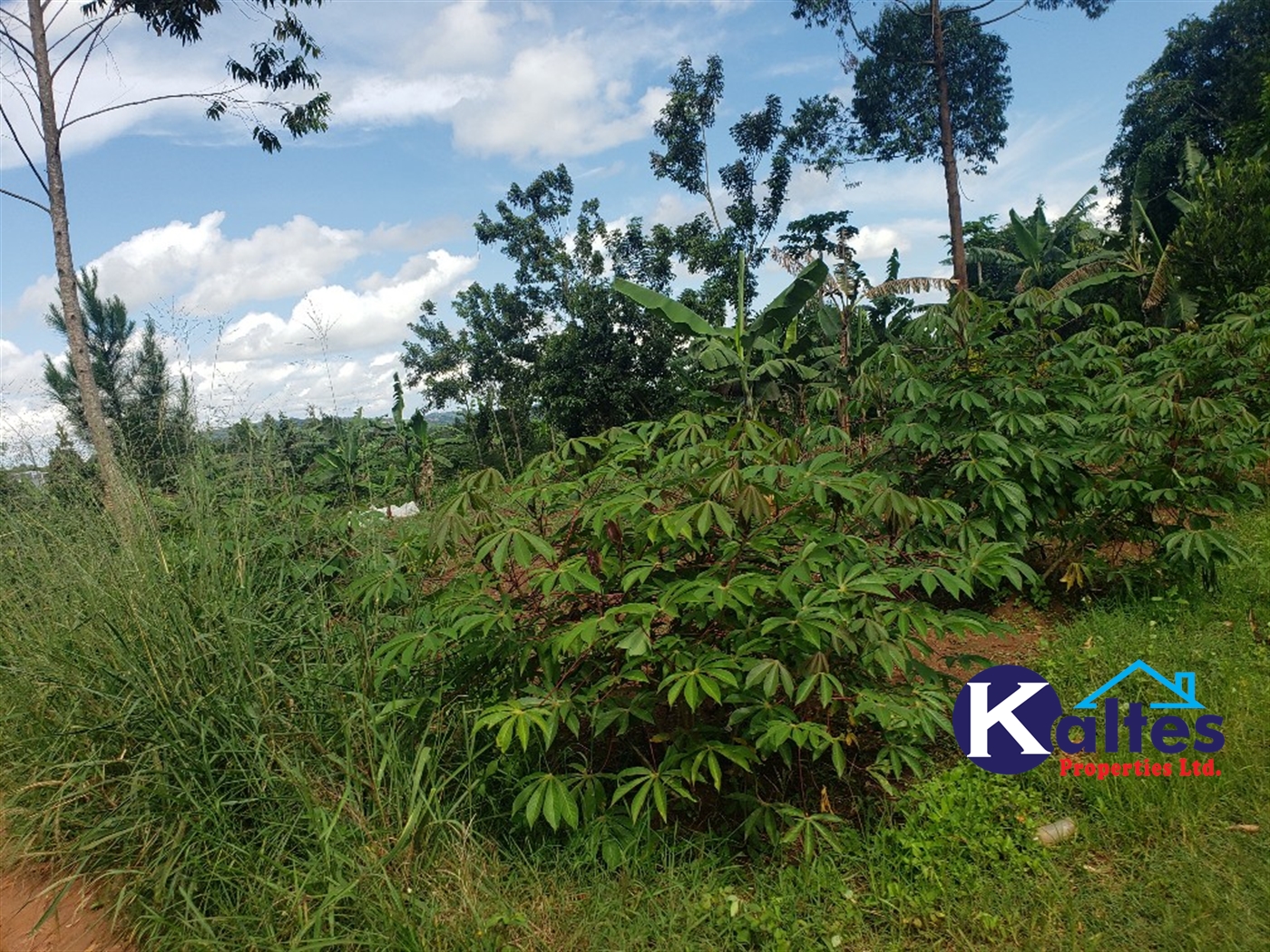 Agricultural Land for sale in Banagonera Kayunga