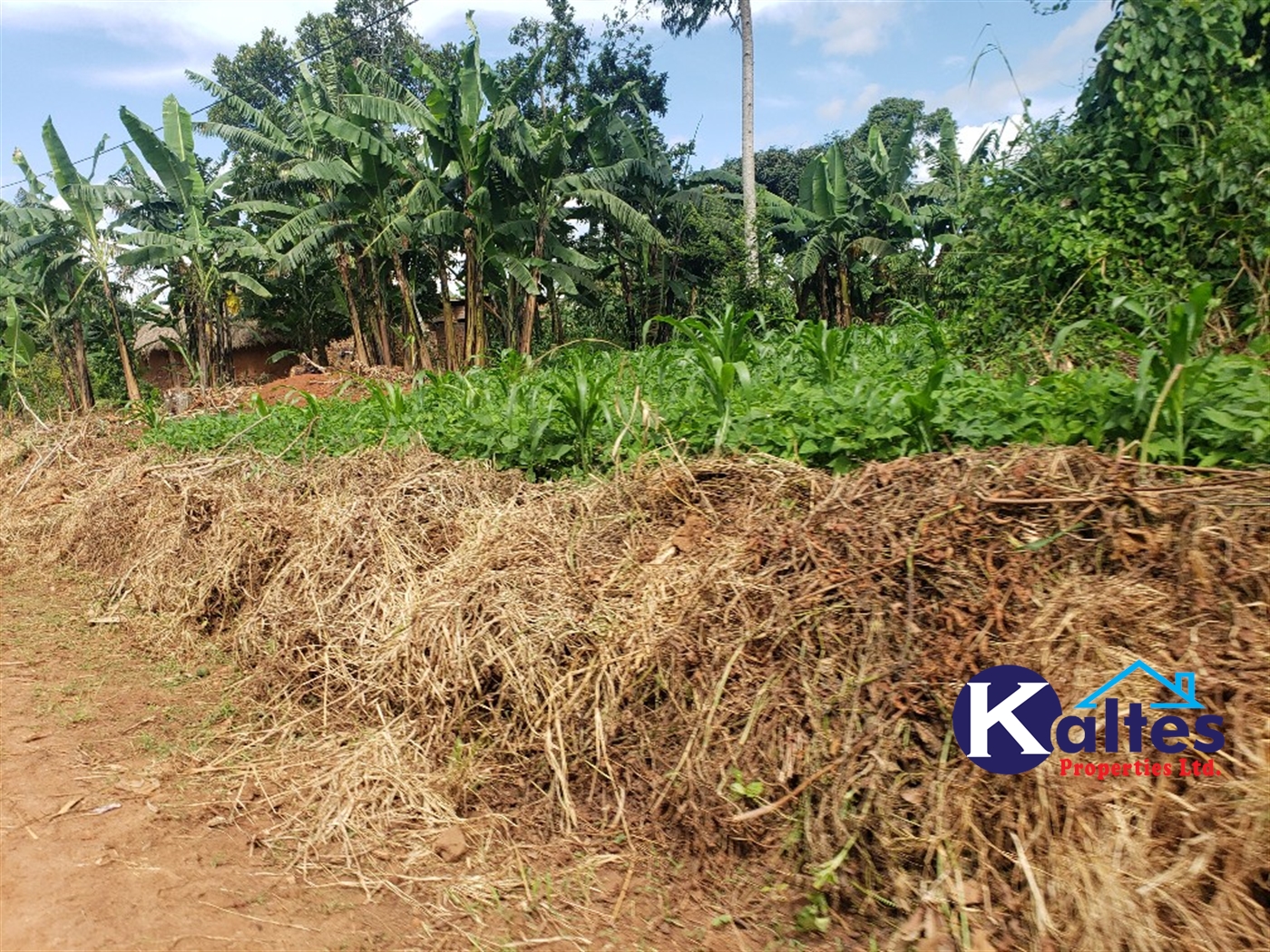 Agricultural Land for sale in Banagonera Kayunga