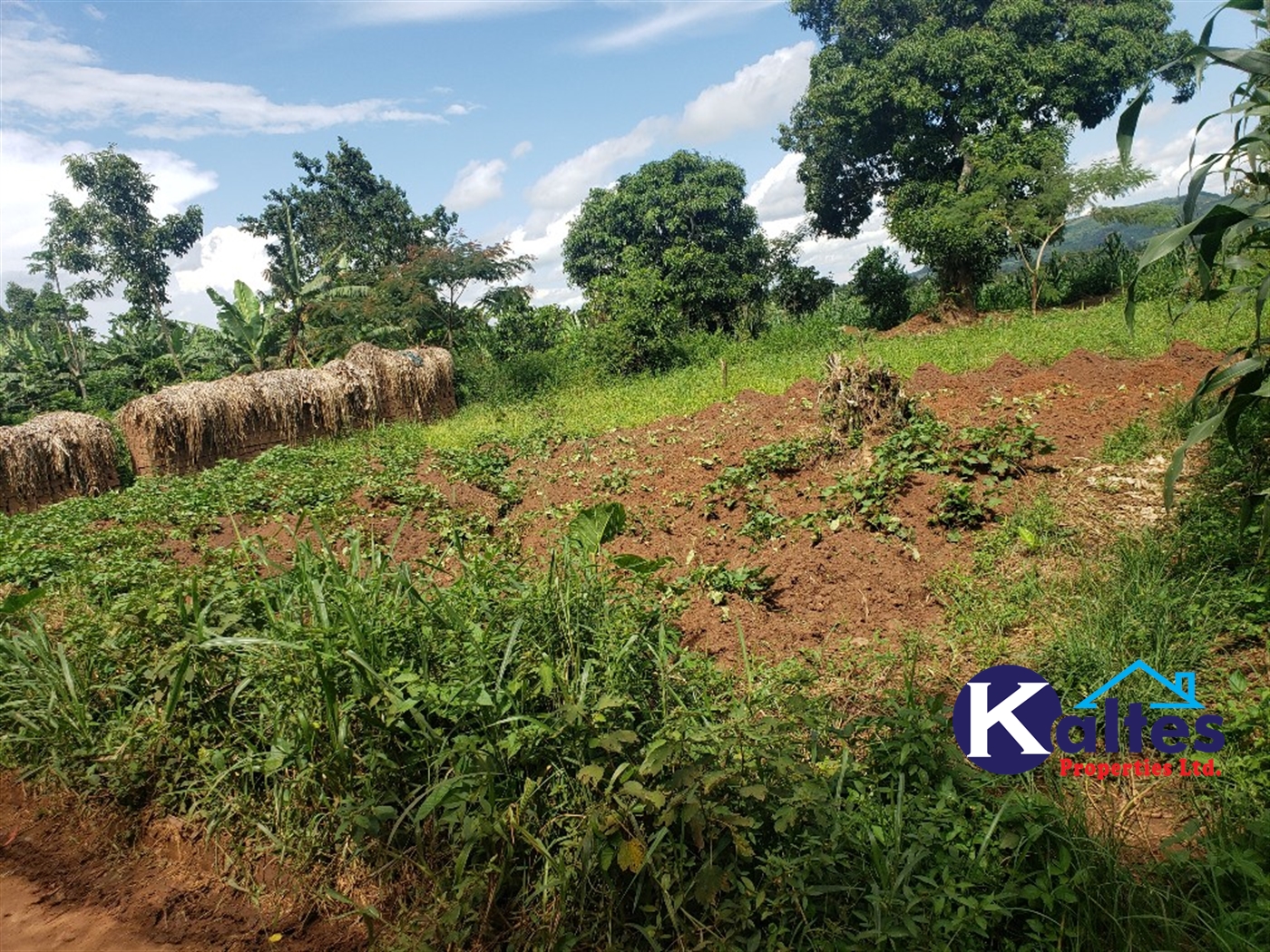 Agricultural Land for sale in Bugumya Kayunga