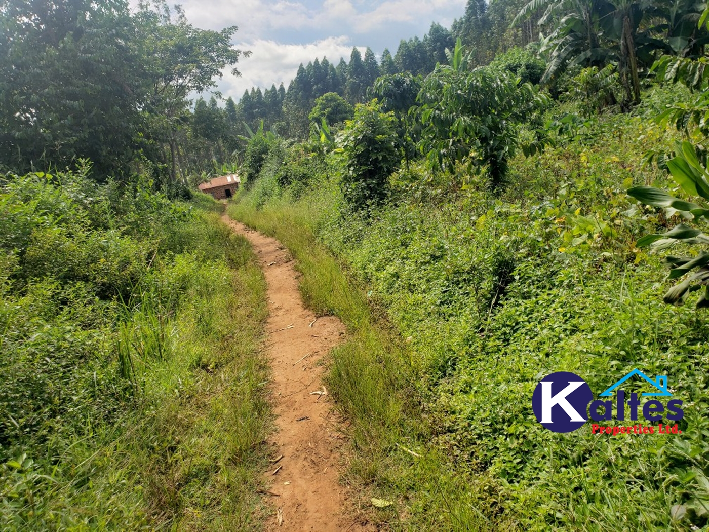 Agricultural Land for sale in Bugumya Kayunga