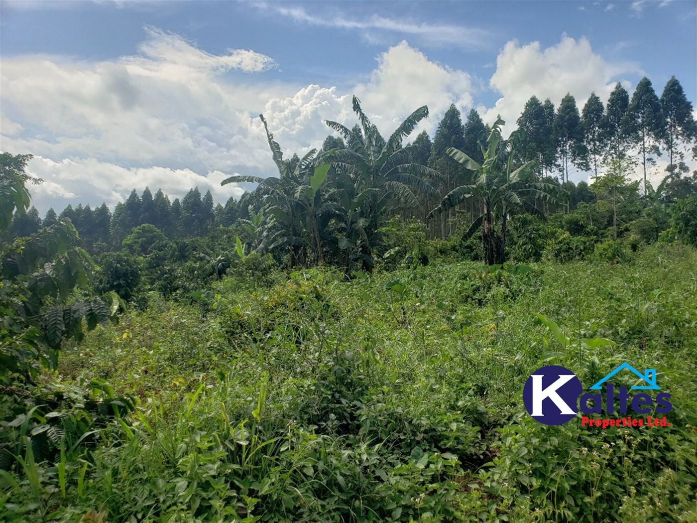 Agricultural Land for sale in Bugumya Kayunga