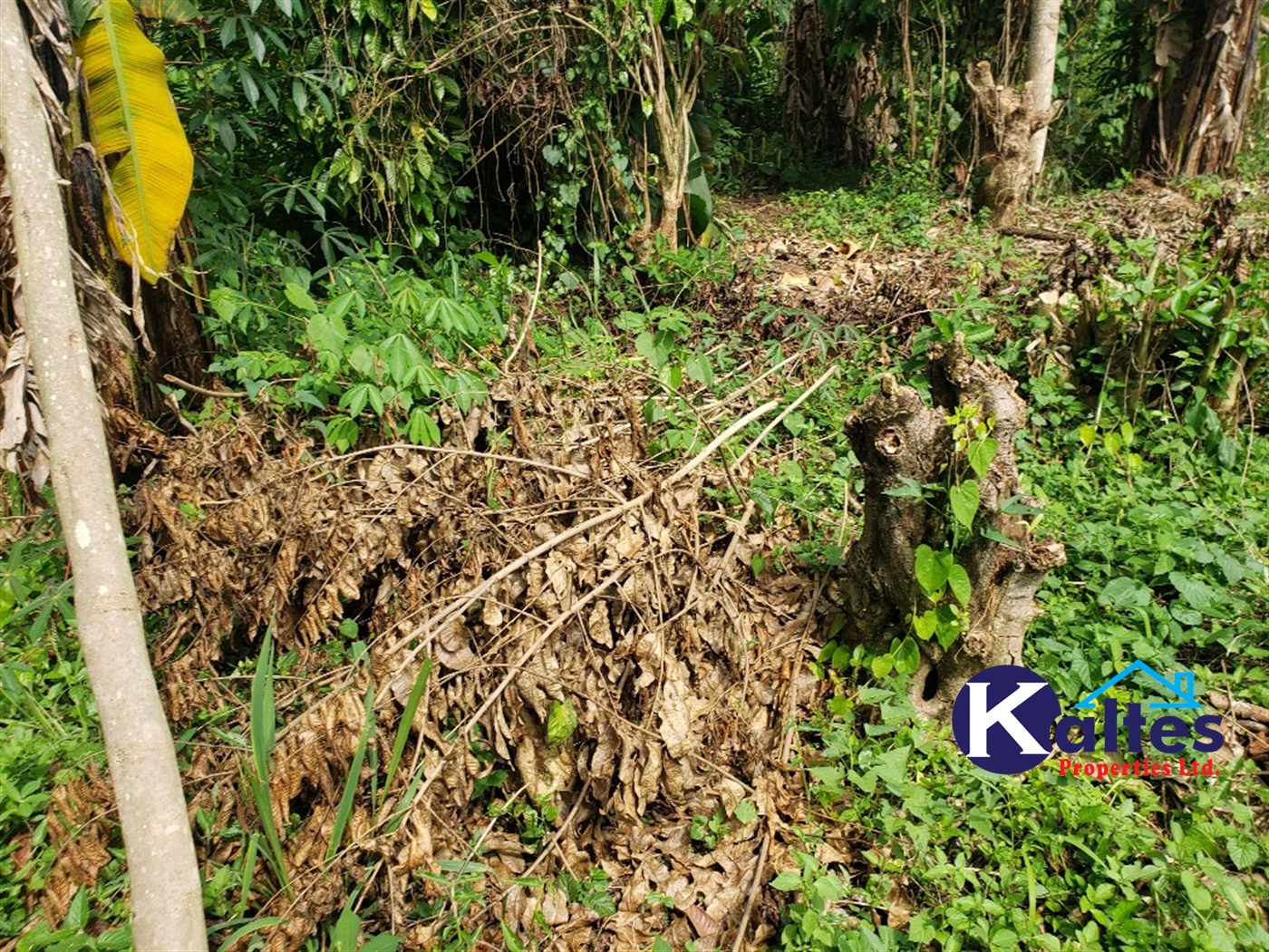 Agricultural Land for sale in Bugumya Kayunga