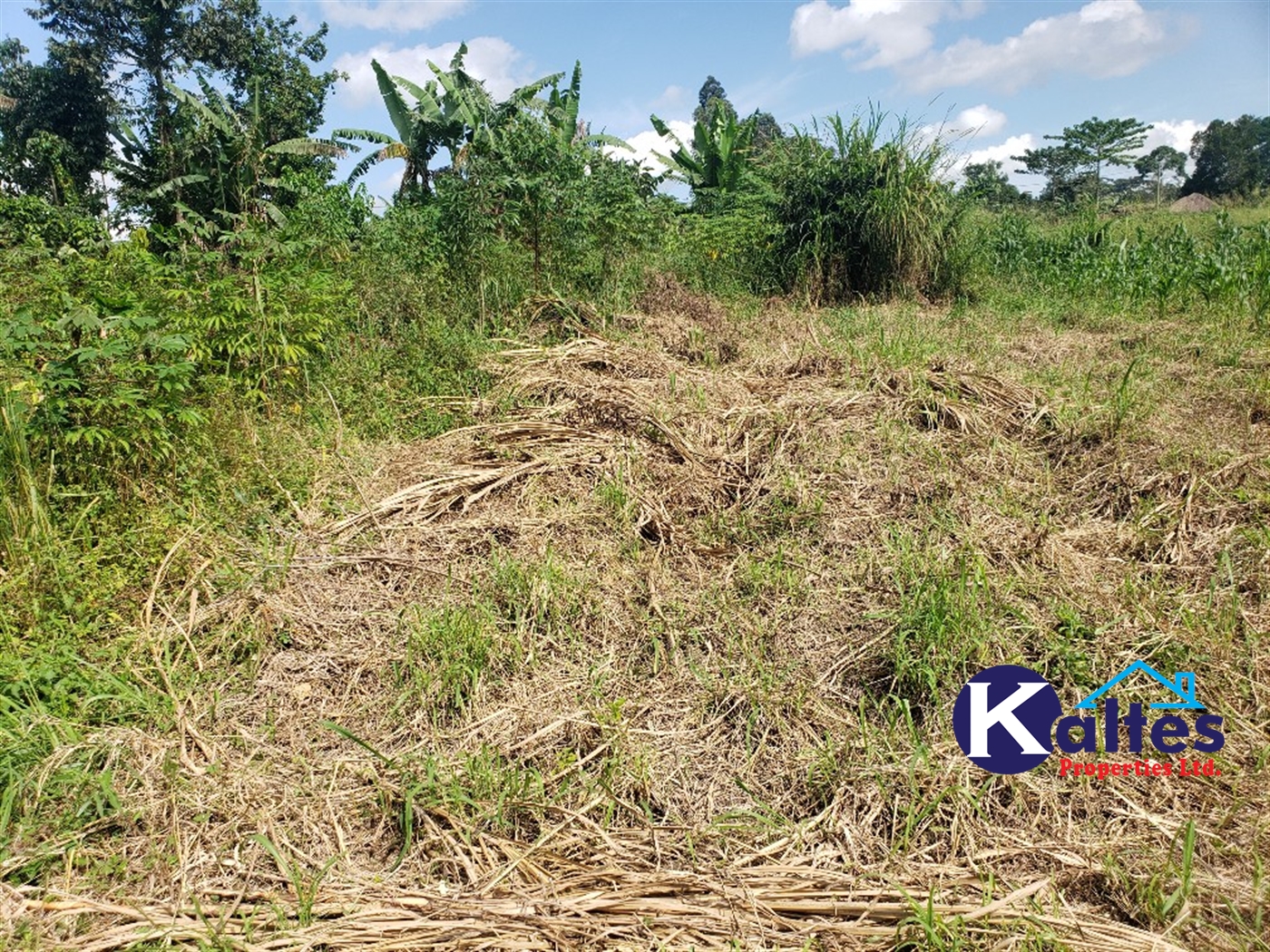 Agricultural Land for sale in Bugumya Kayunga