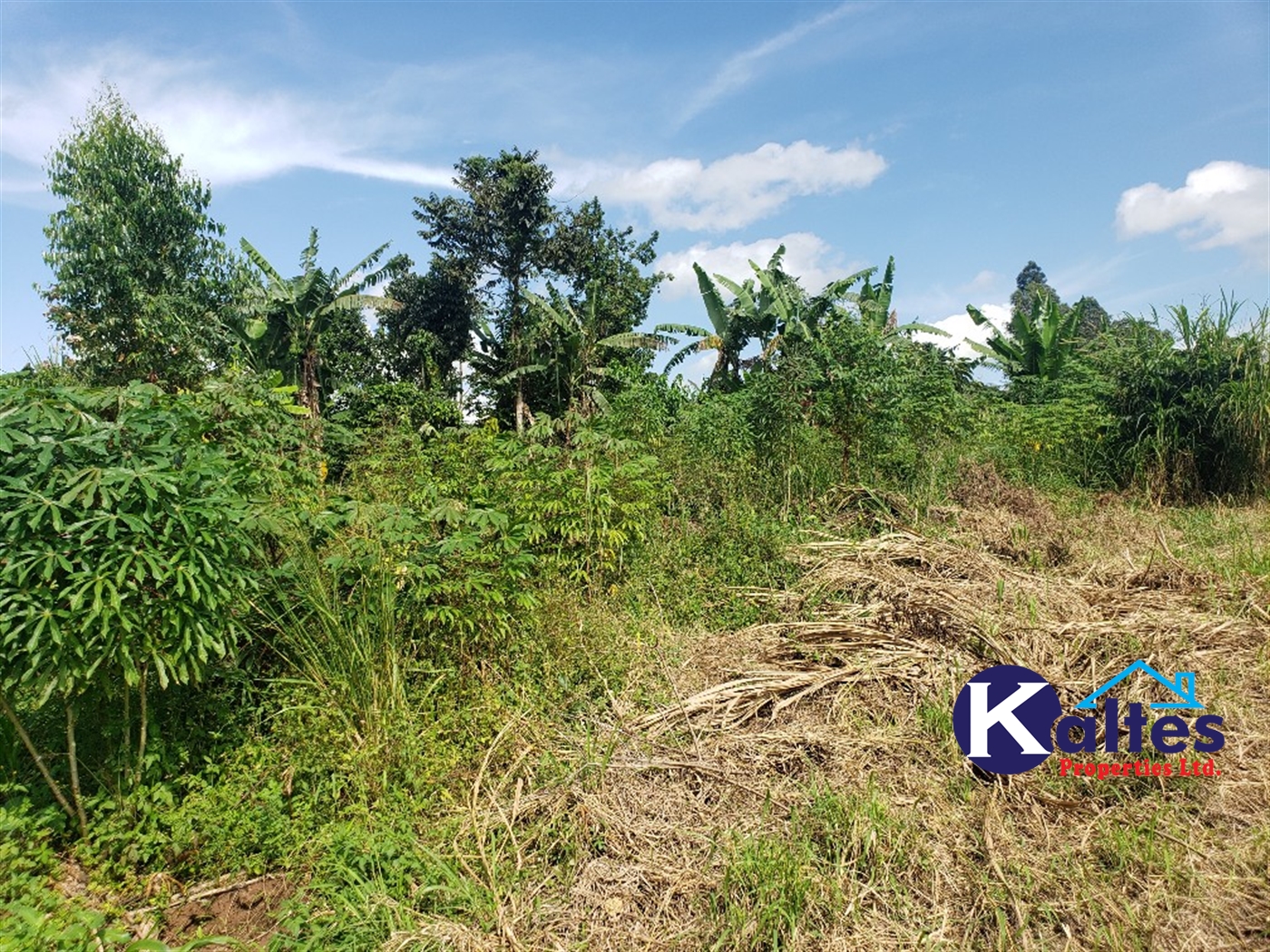 Agricultural Land for sale in Bugumya Kayunga