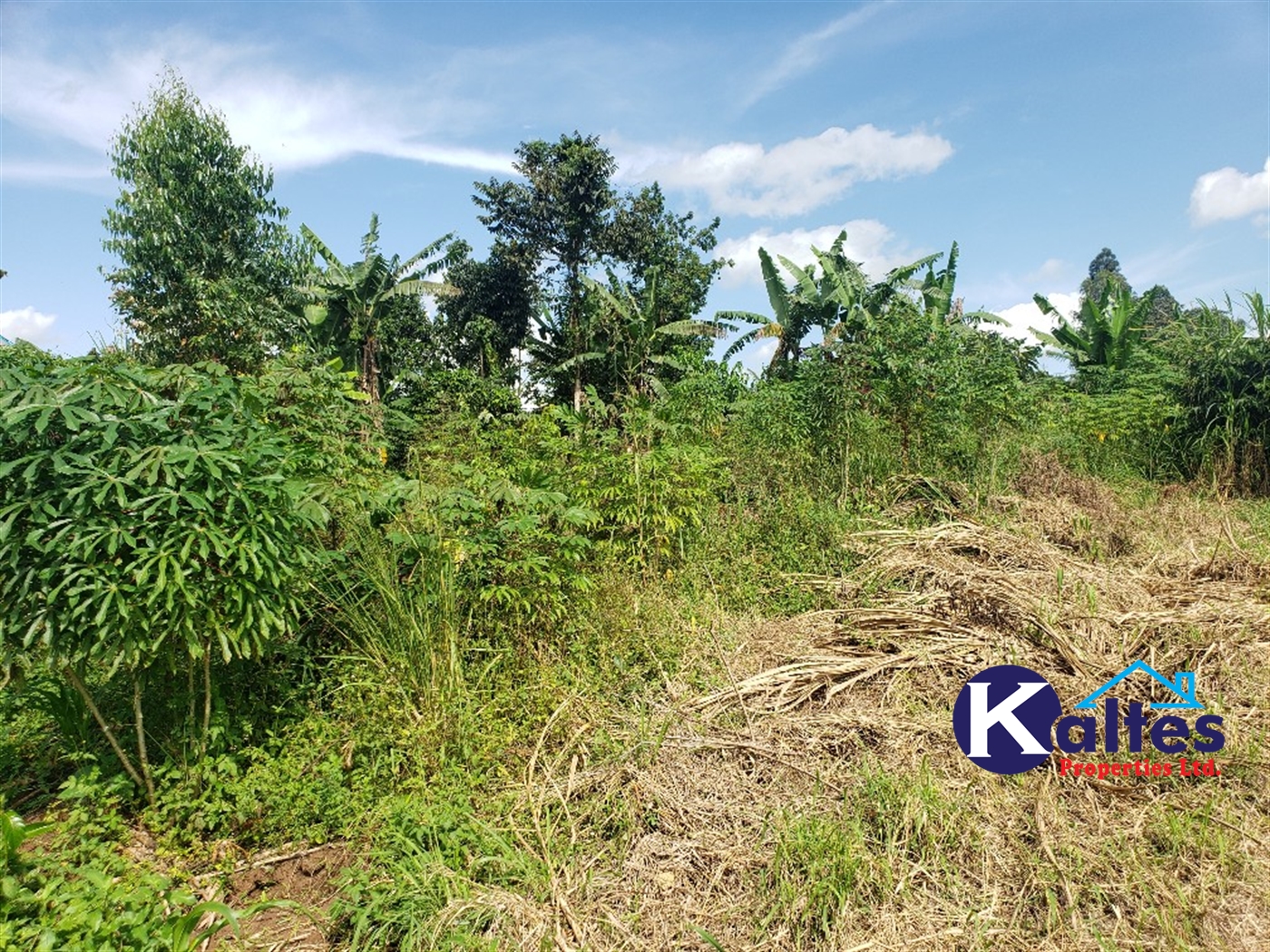 Agricultural Land for sale in Bugumya Kayunga