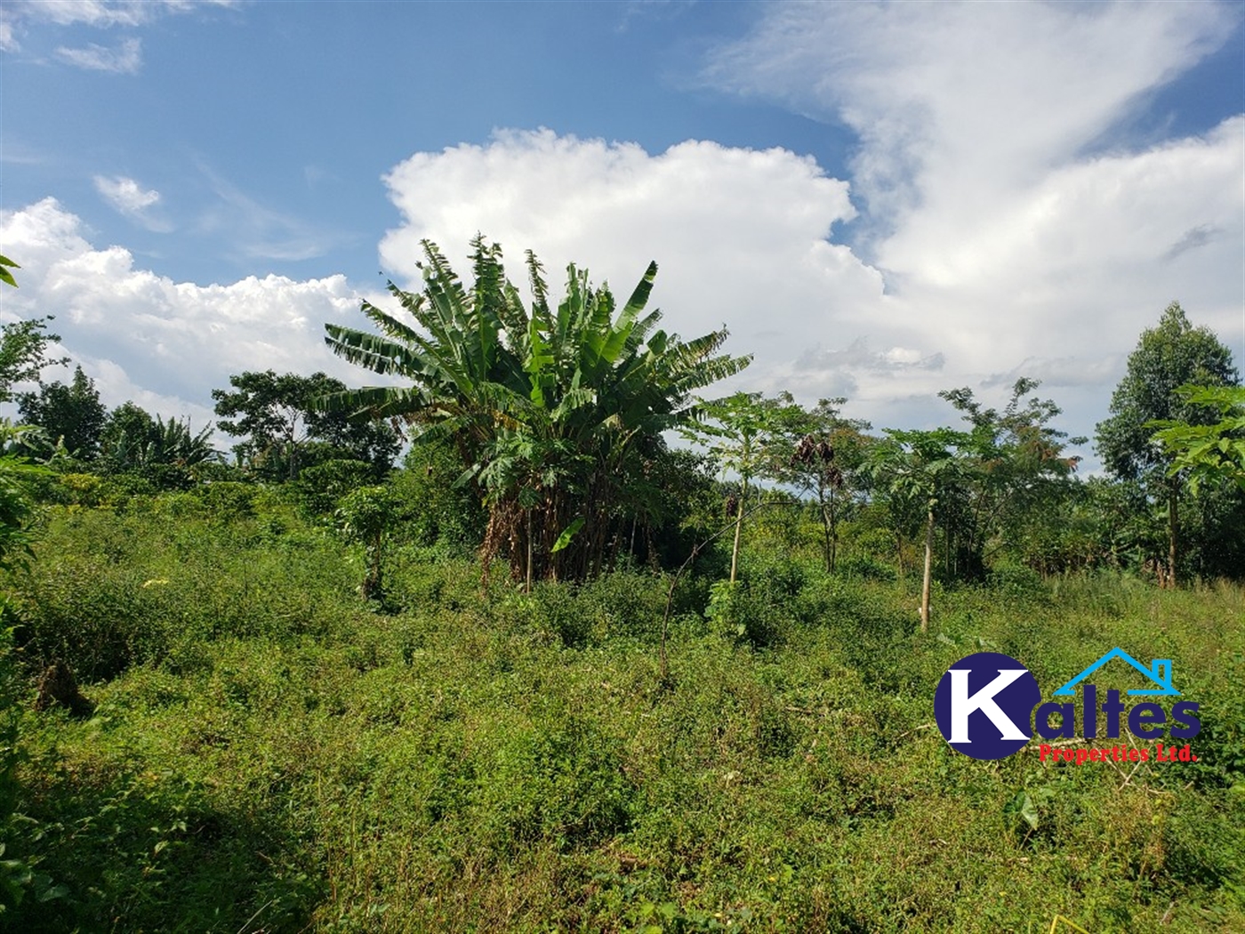 Agricultural Land for sale in Bujwaya Kayunga