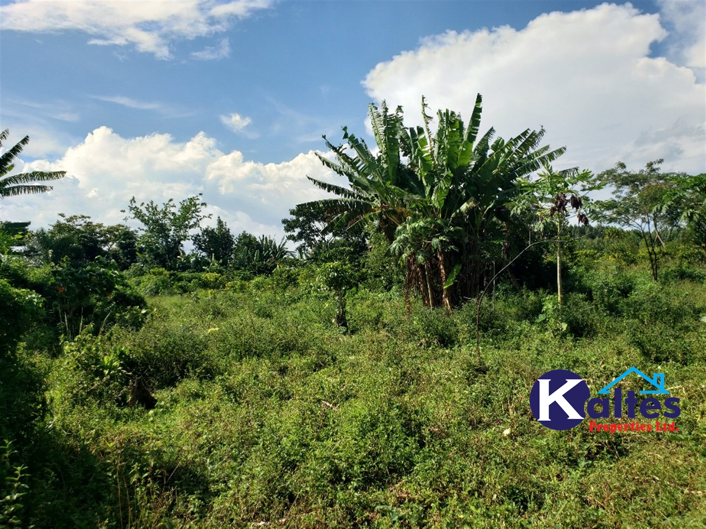 Agricultural Land for sale in Bujwaya Kayunga