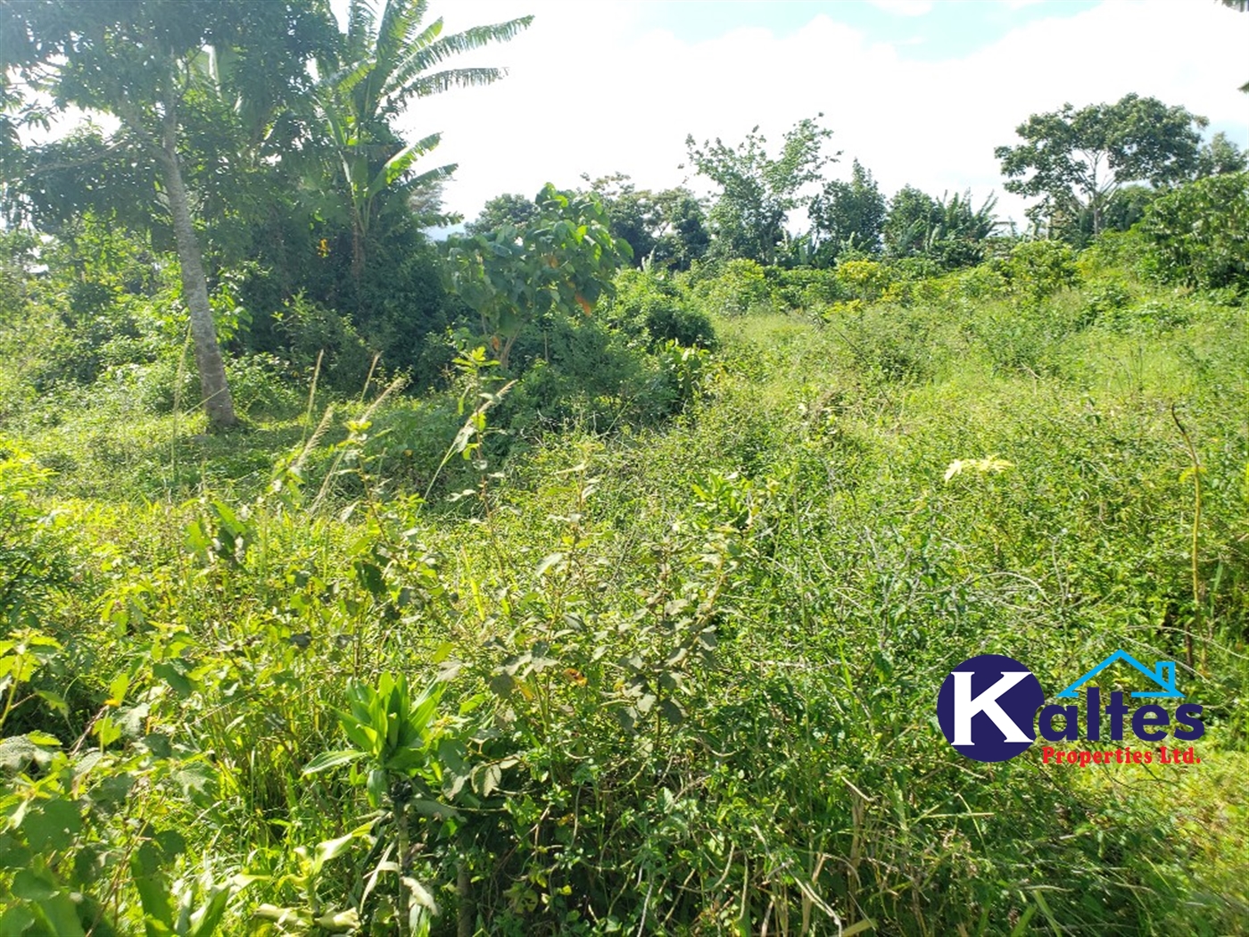 Agricultural Land for sale in Bujwaya Kayunga