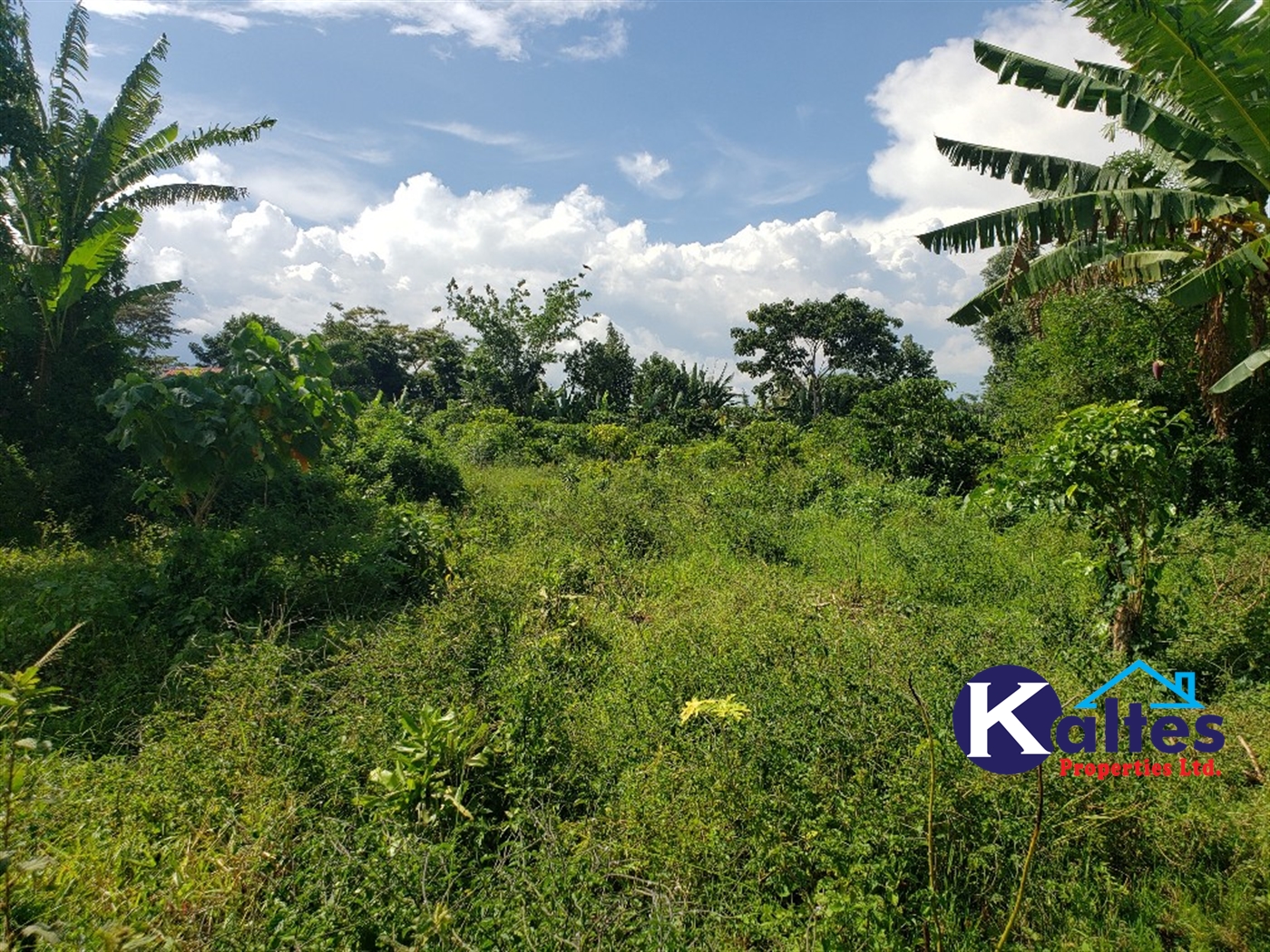 Agricultural Land for sale in Bujwaya Kayunga