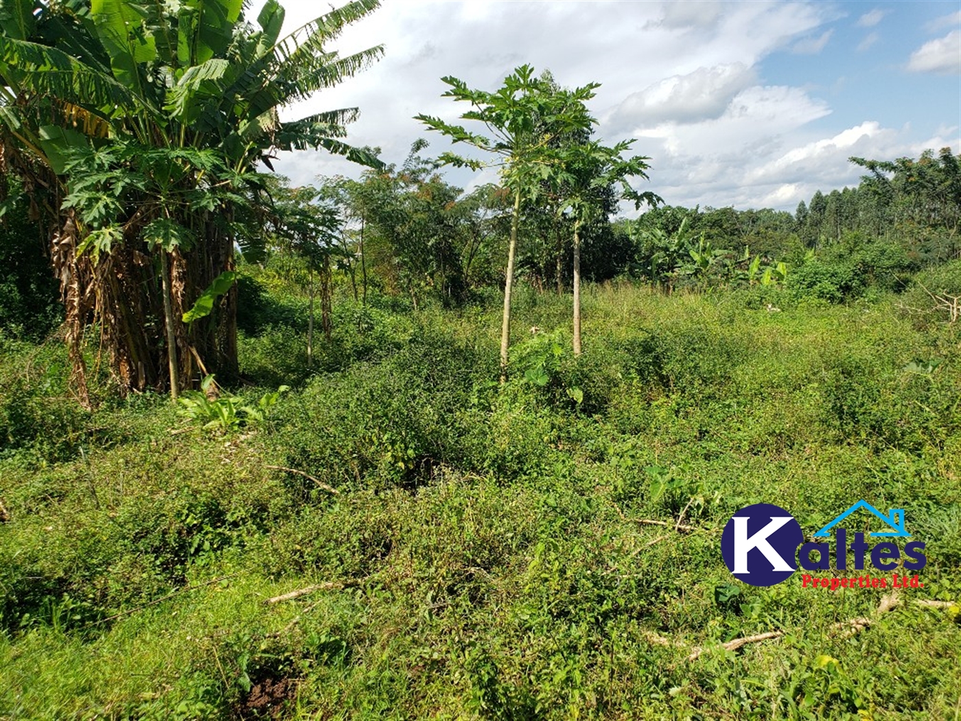 Agricultural Land for sale in Bujwaya Kayunga