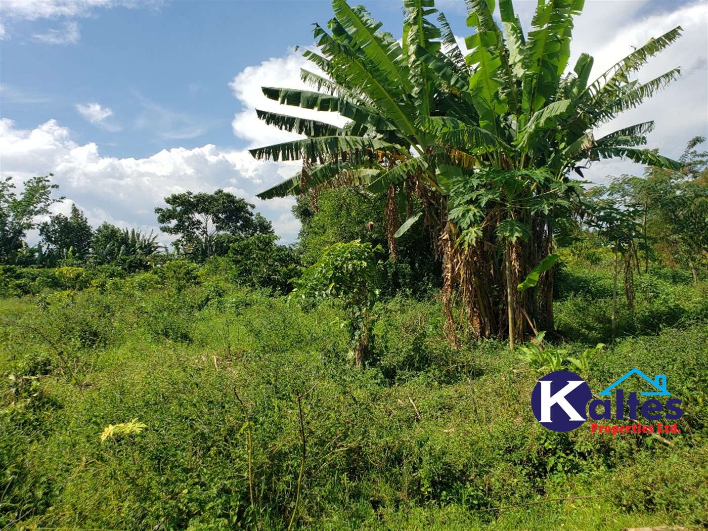 Agricultural Land for sale in Bujwaya Kayunga