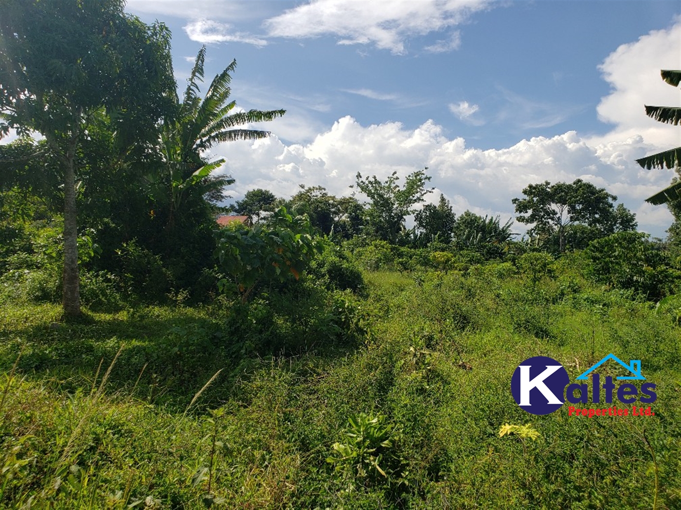 Agricultural Land for sale in Bujwaya Kayunga