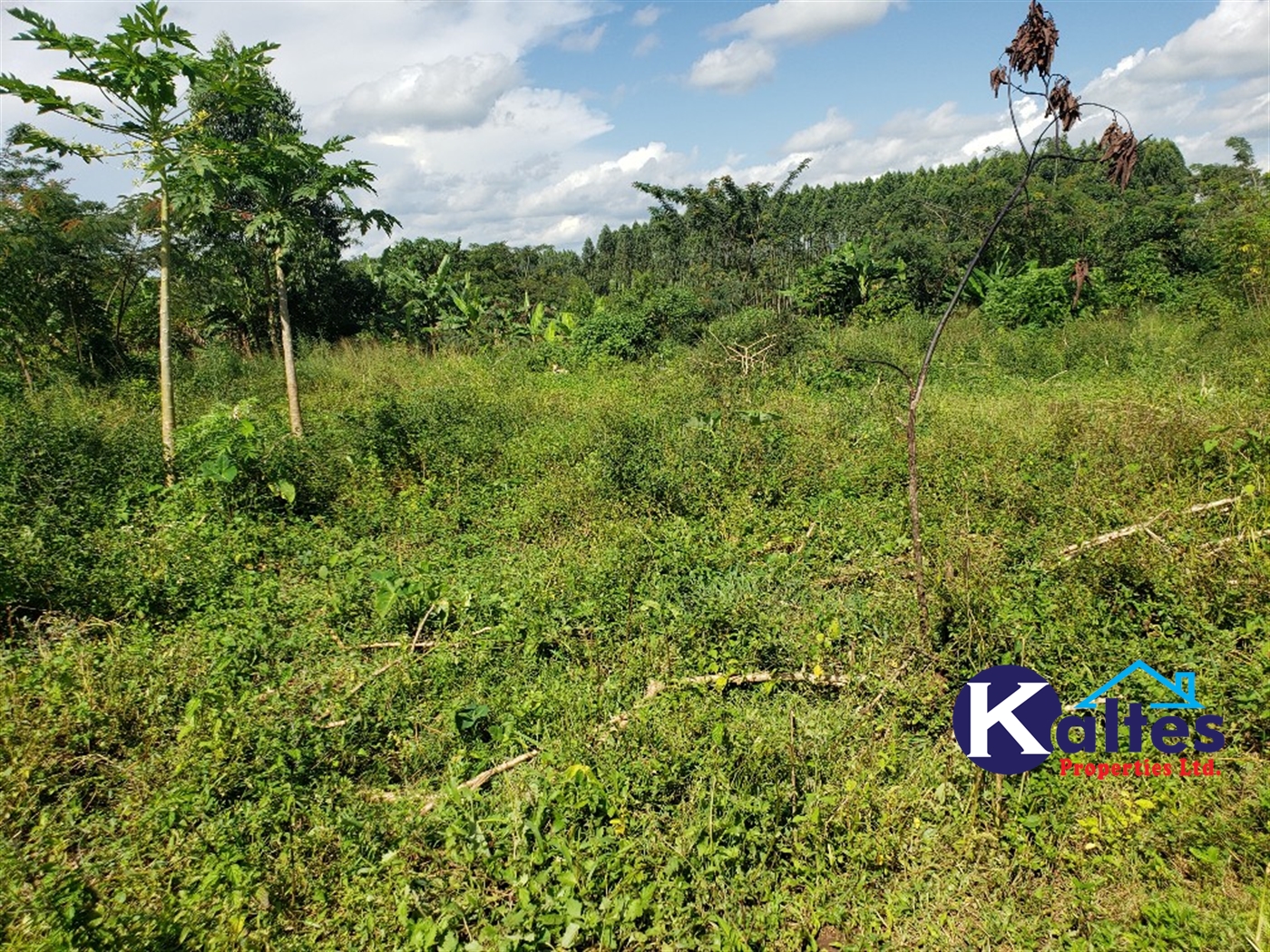 Agricultural Land for sale in Bujwaya Kayunga