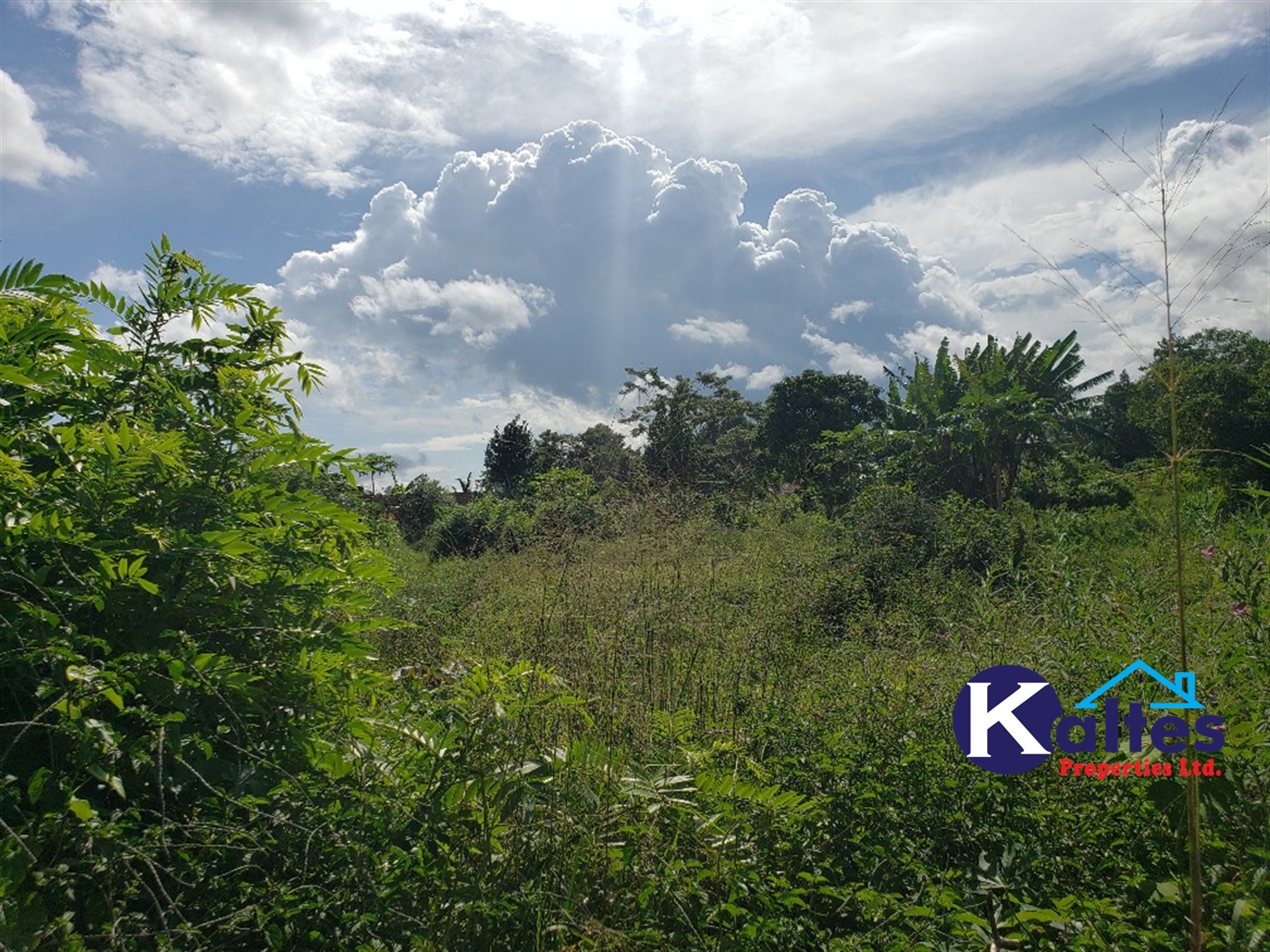 Agricultural Land for sale in Bujwaya Kayunga