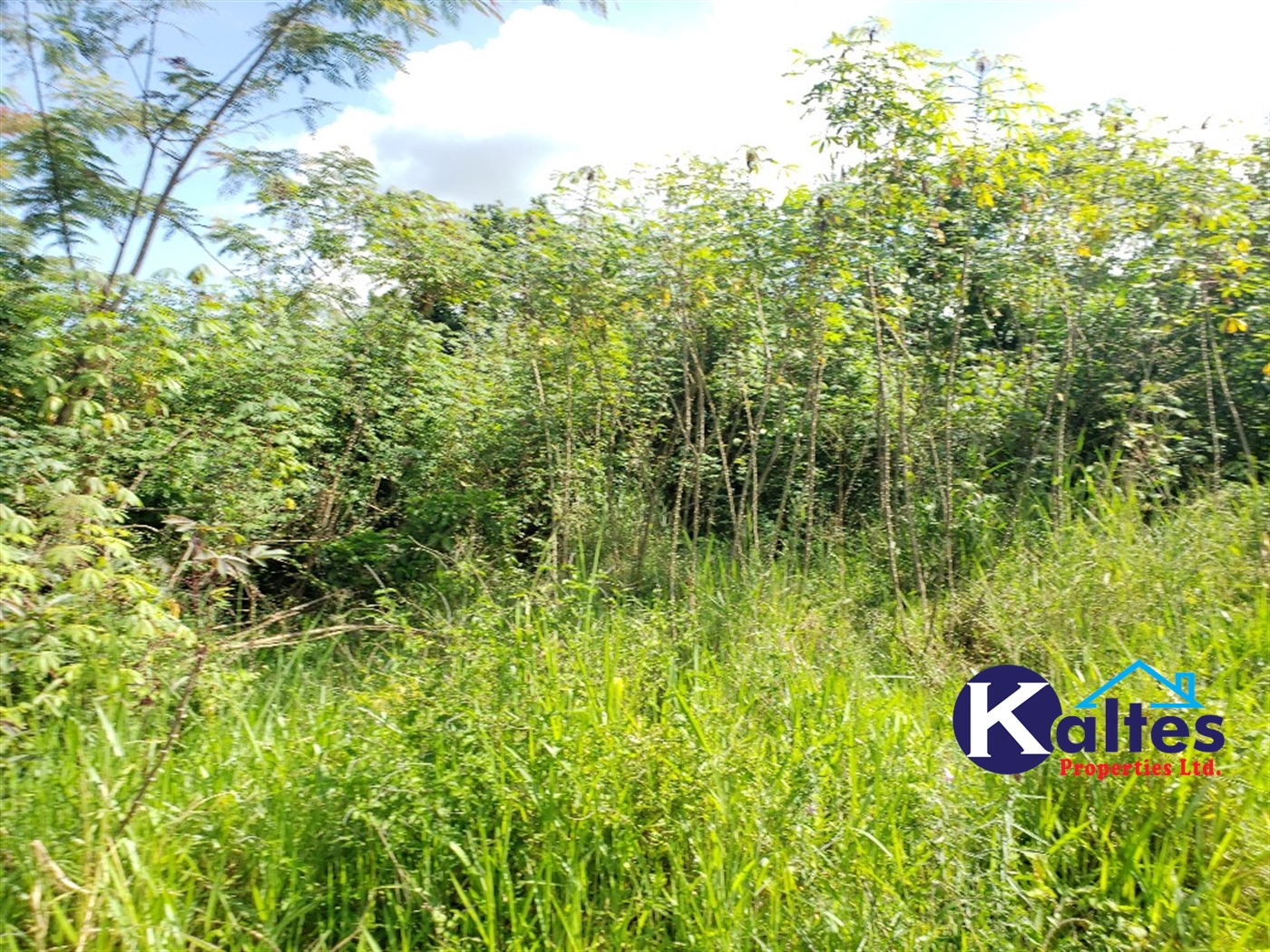 Agricultural Land for sale in Bujwaya Kayunga