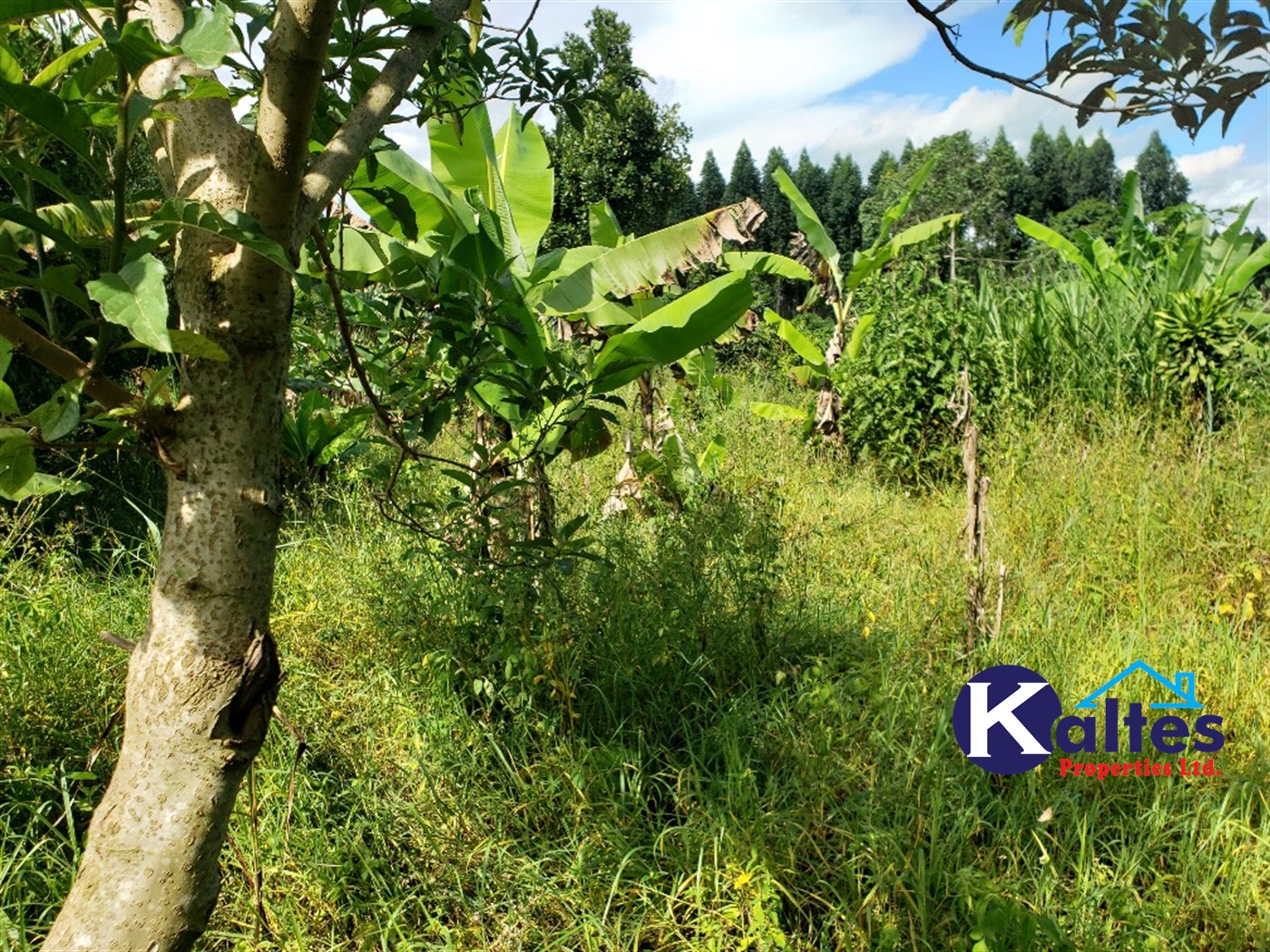 Agricultural Land for sale in Bulangi Kayunga