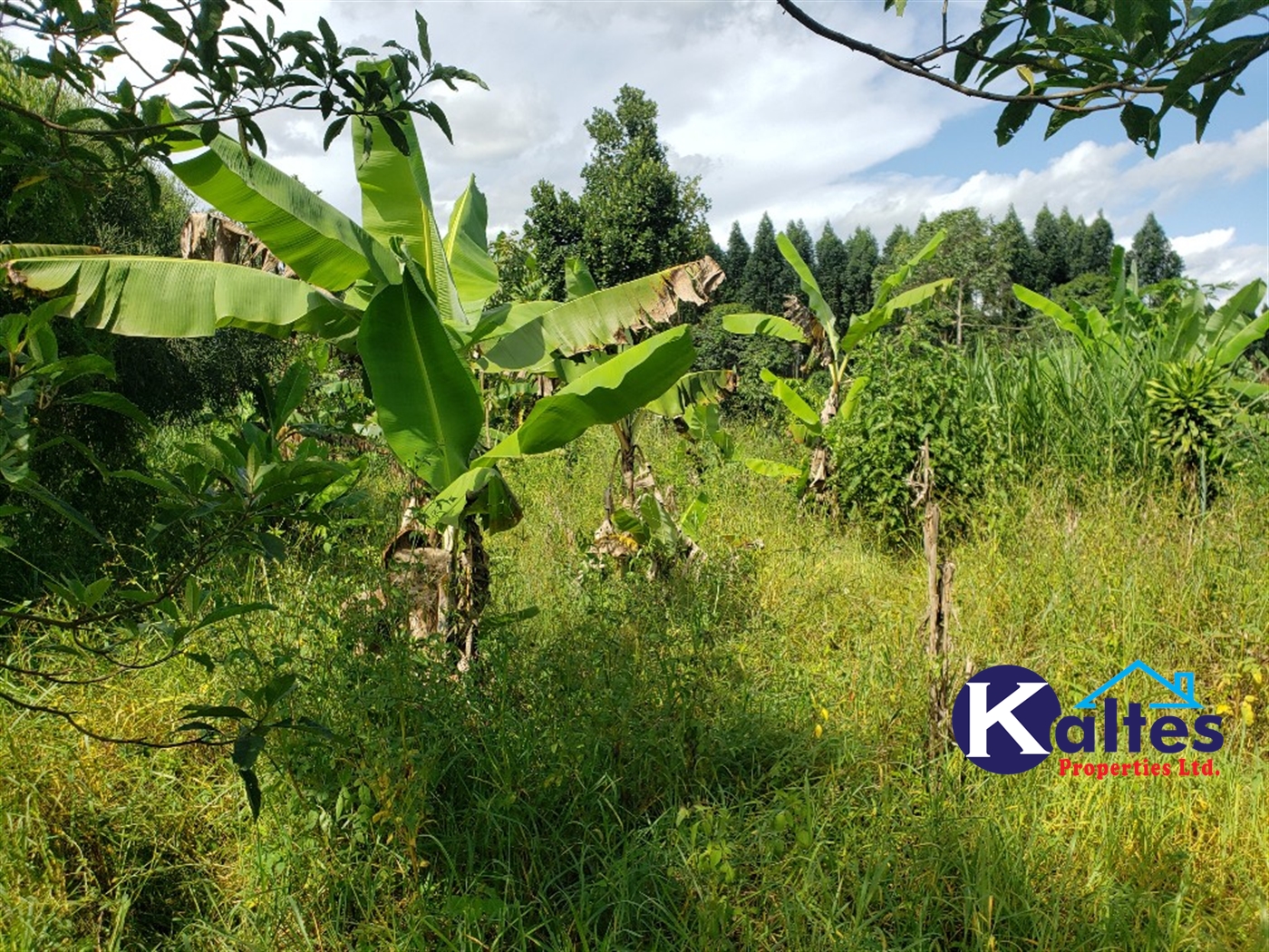 Agricultural Land for sale in Bulangi Kayunga