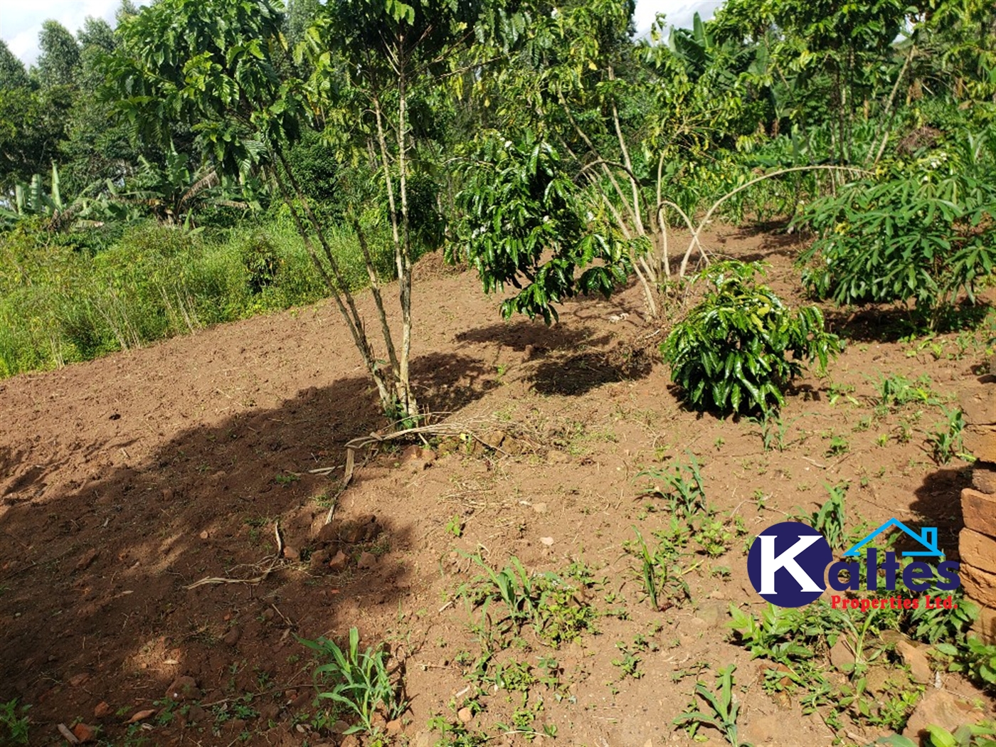 Agricultural Land for sale in Bulangi Kayunga