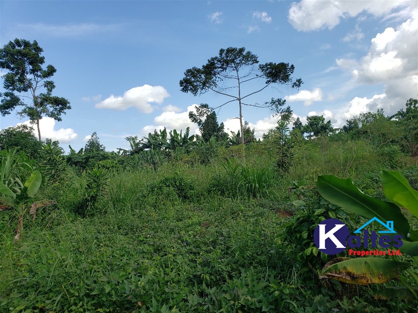 Agricultural Land for sale in Busana Kayunga