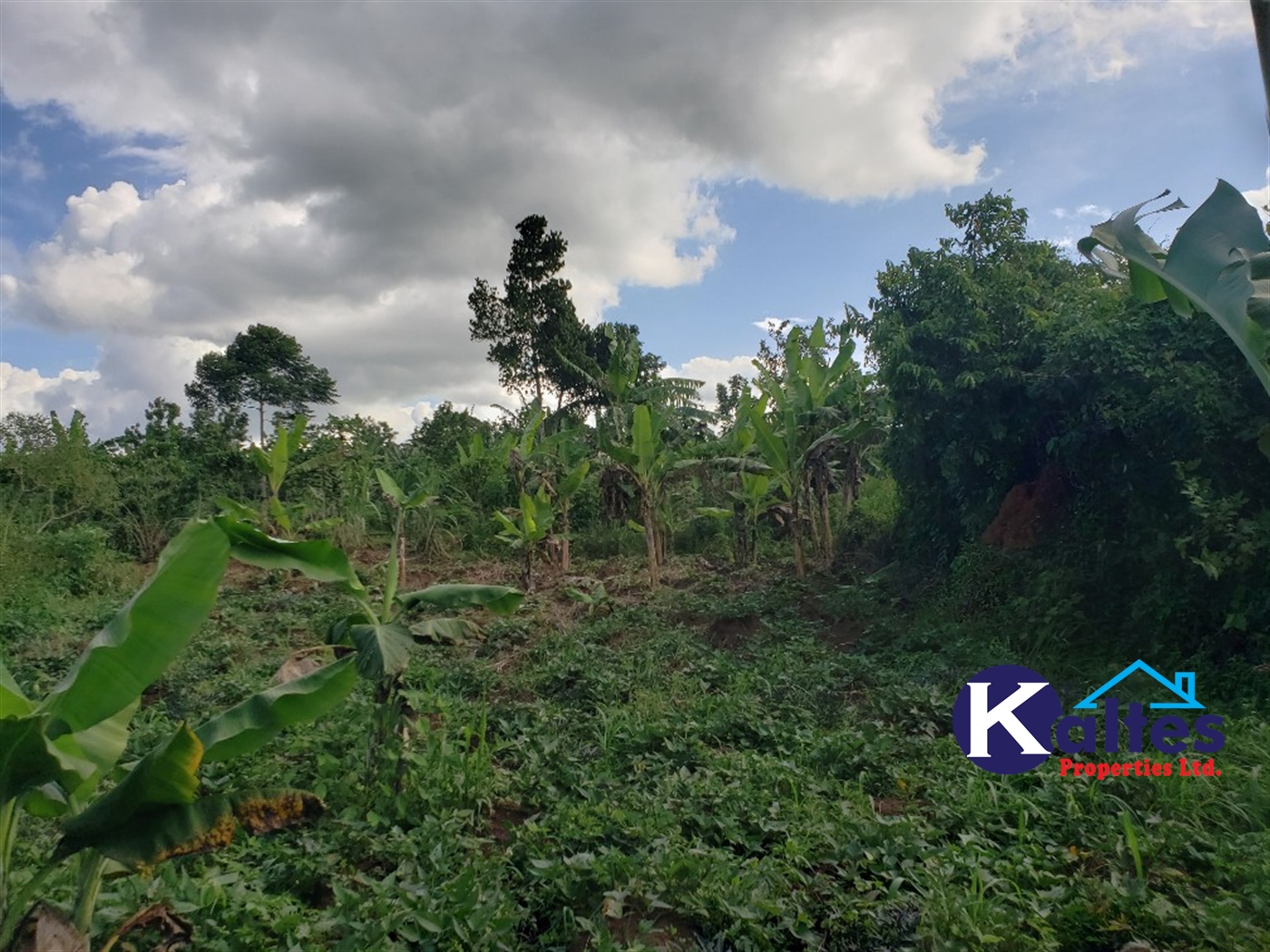 Agricultural Land for sale in Busana Kayunga