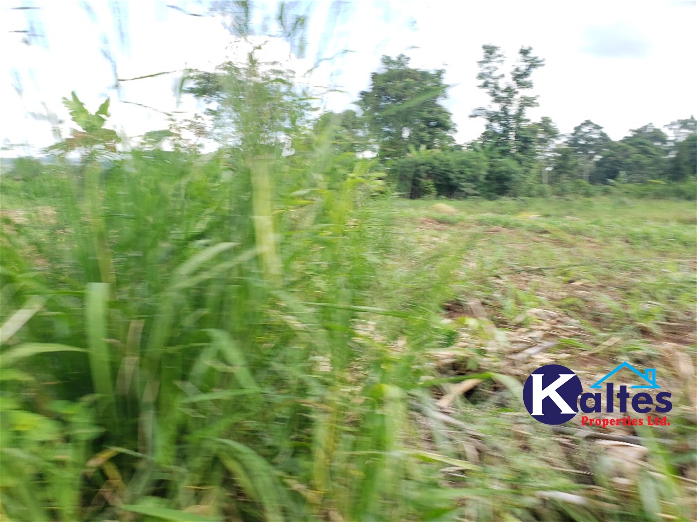 Agricultural Land for sale in Busana Kayunga