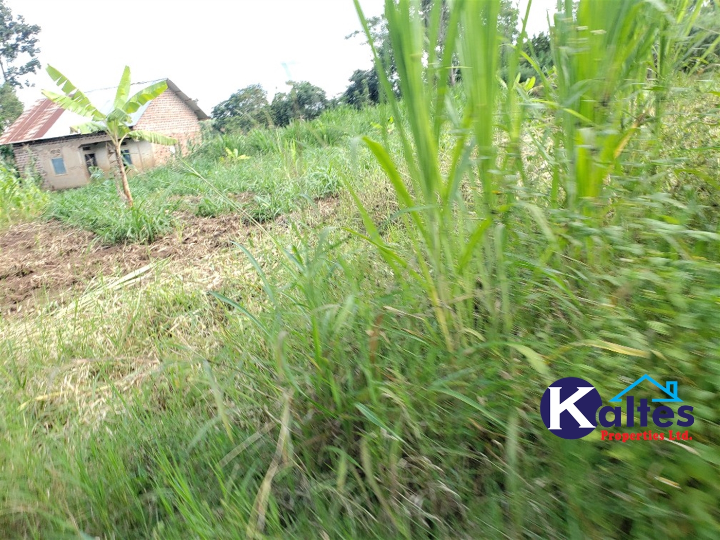 Agricultural Land for sale in Busana Kayunga