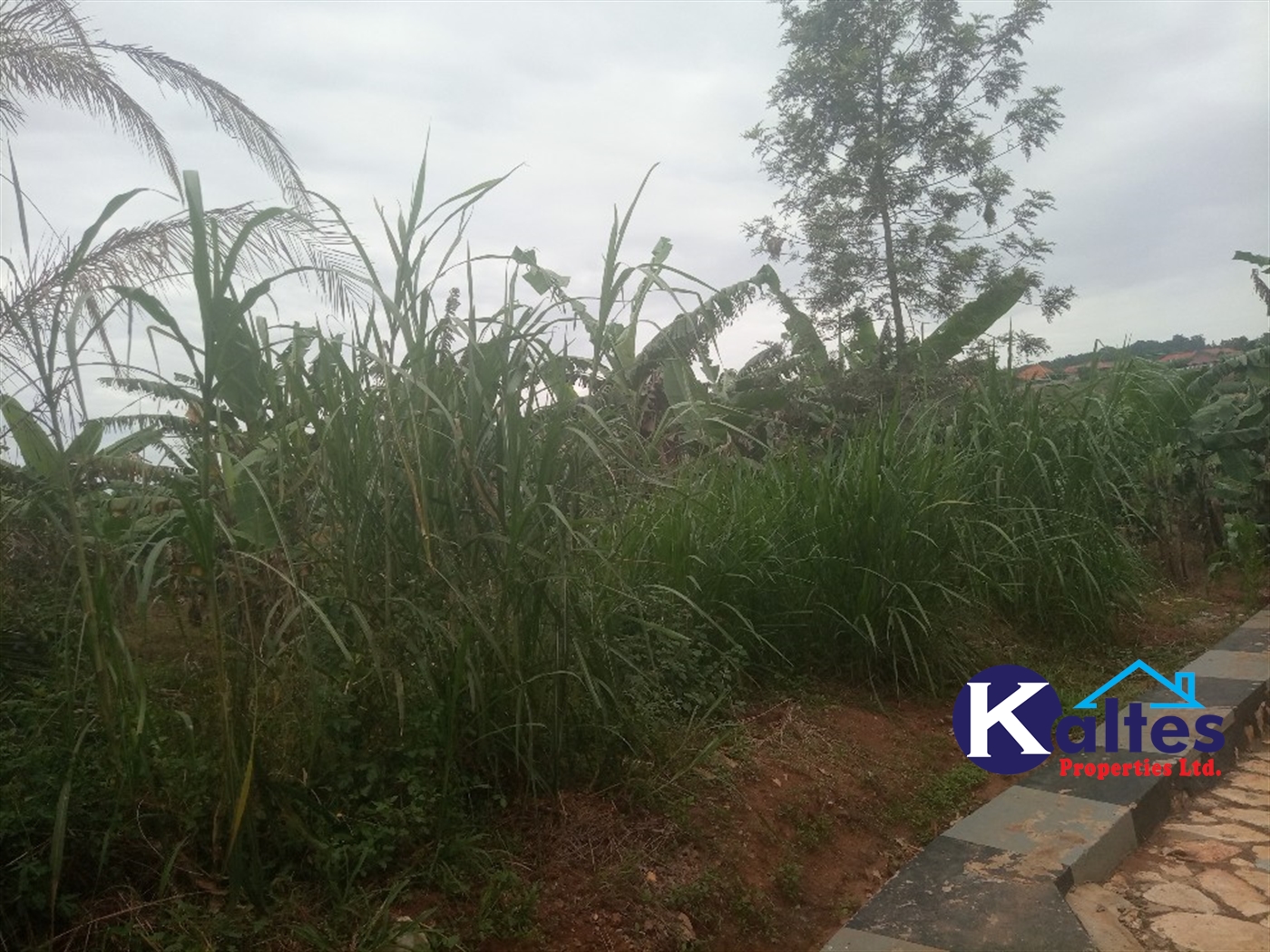 Agricultural Land for sale in Busungiri Kayunga