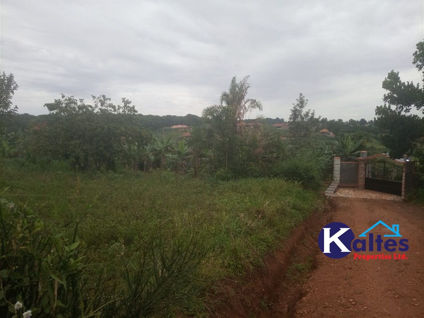 Agricultural Land for sale in Busungiri Kayunga