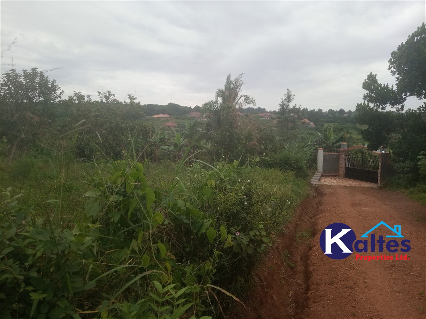 Agricultural Land for sale in Busungiri Kayunga