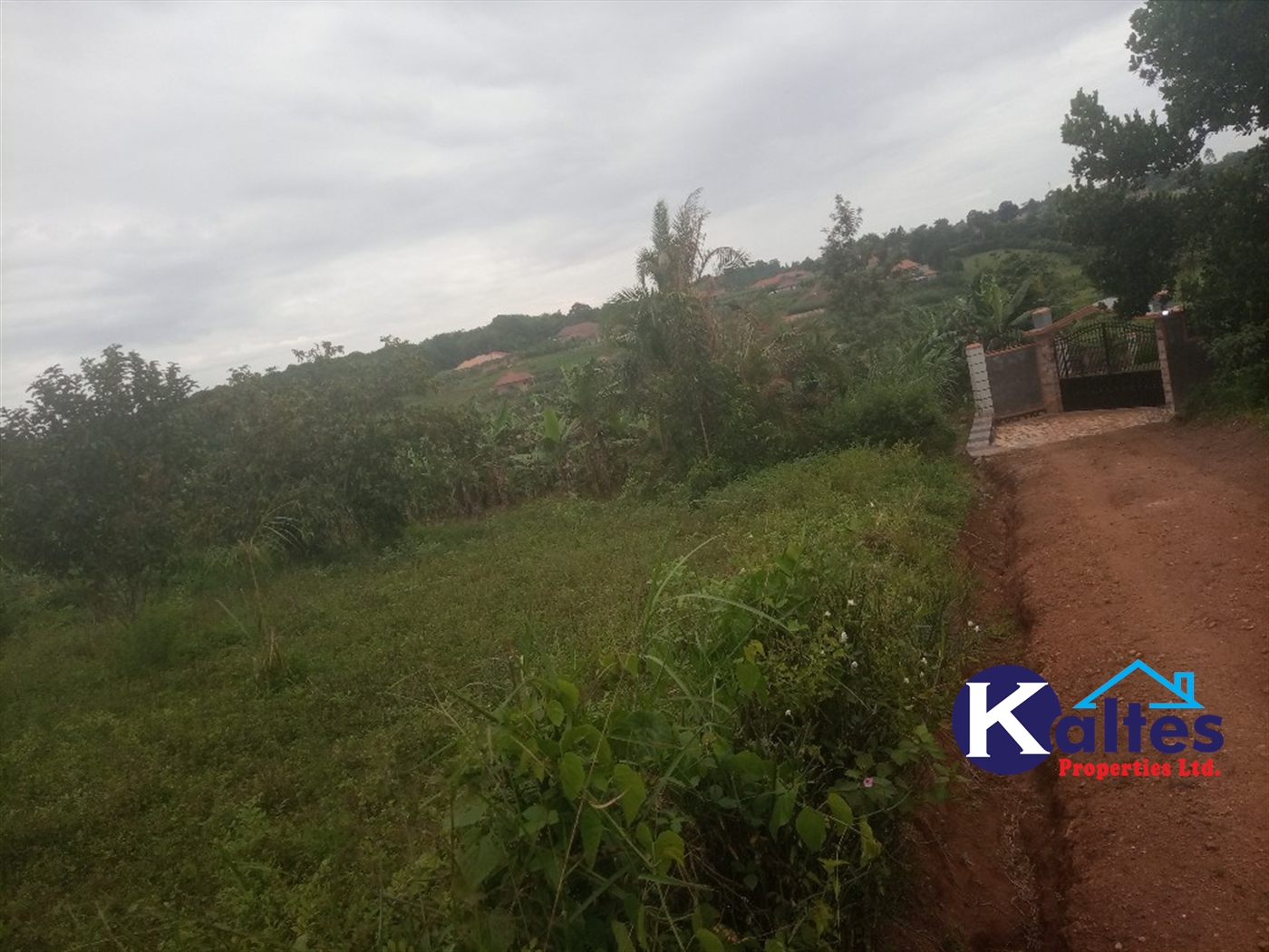 Agricultural Land for sale in Busungiri Kayunga