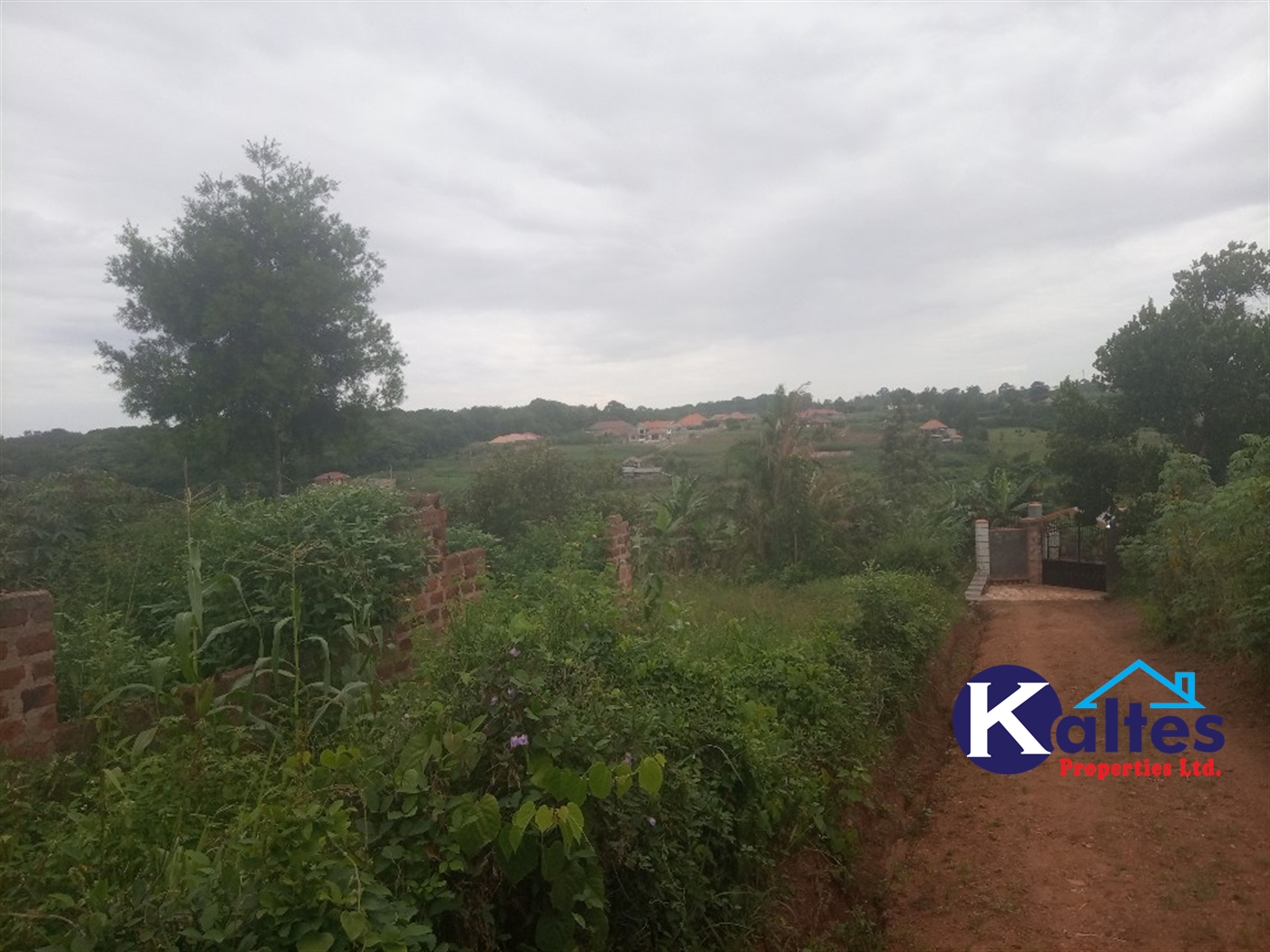 Agricultural Land for sale in Busungiri Kayunga