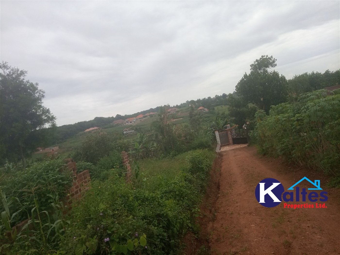 Agricultural Land for sale in Busungiri Kayunga