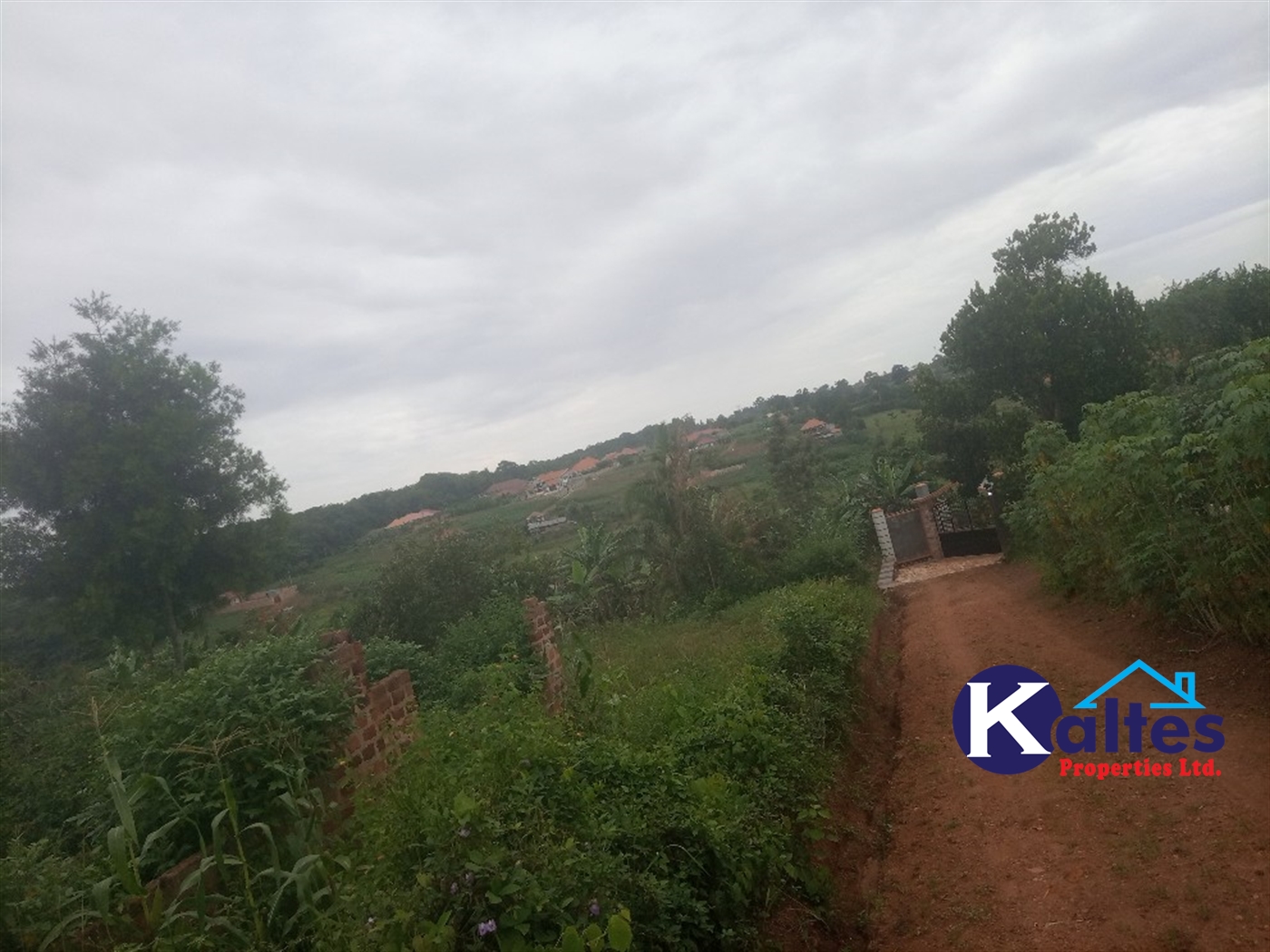 Agricultural Land for sale in Busungiri Kayunga