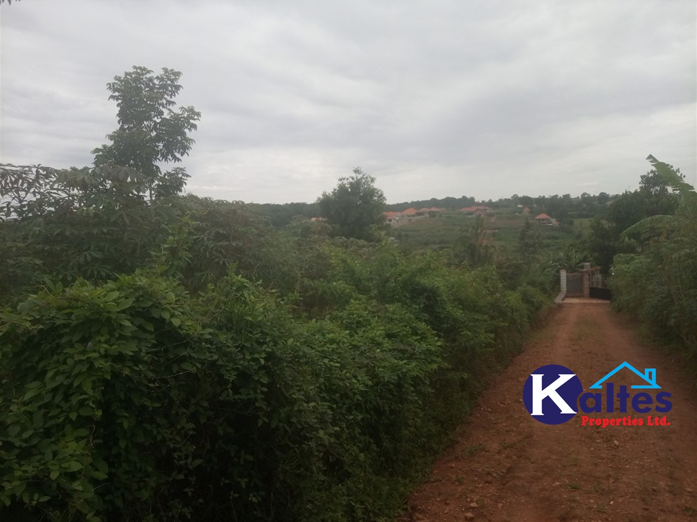 Agricultural Land for sale in Busungiri Kayunga