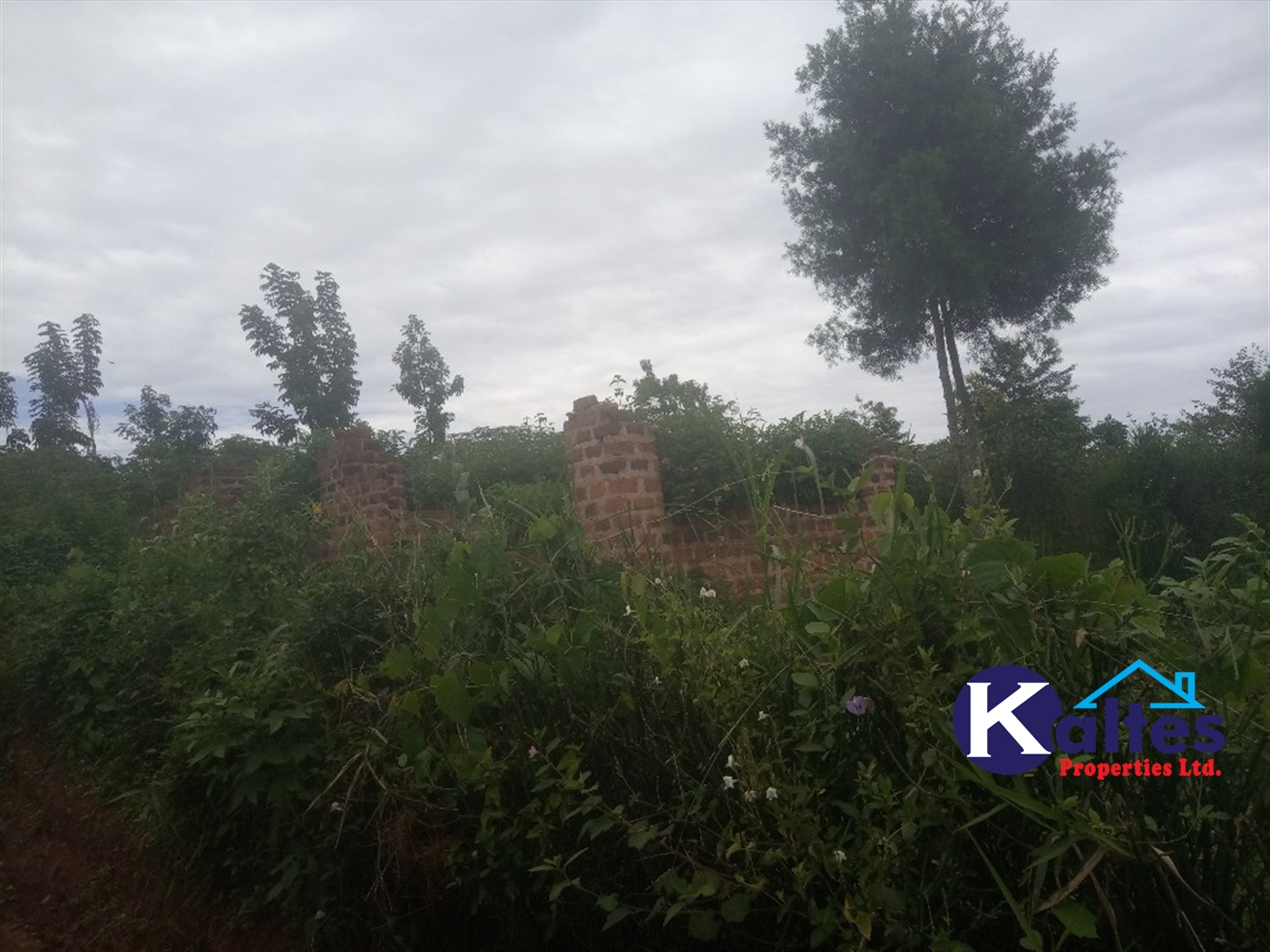 Agricultural Land for sale in Busungiri Kayunga