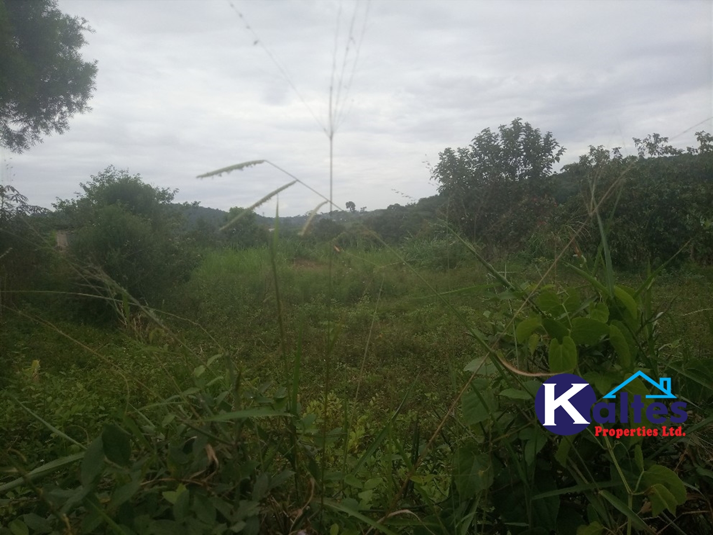 Agricultural Land for sale in Busungiri Kayunga