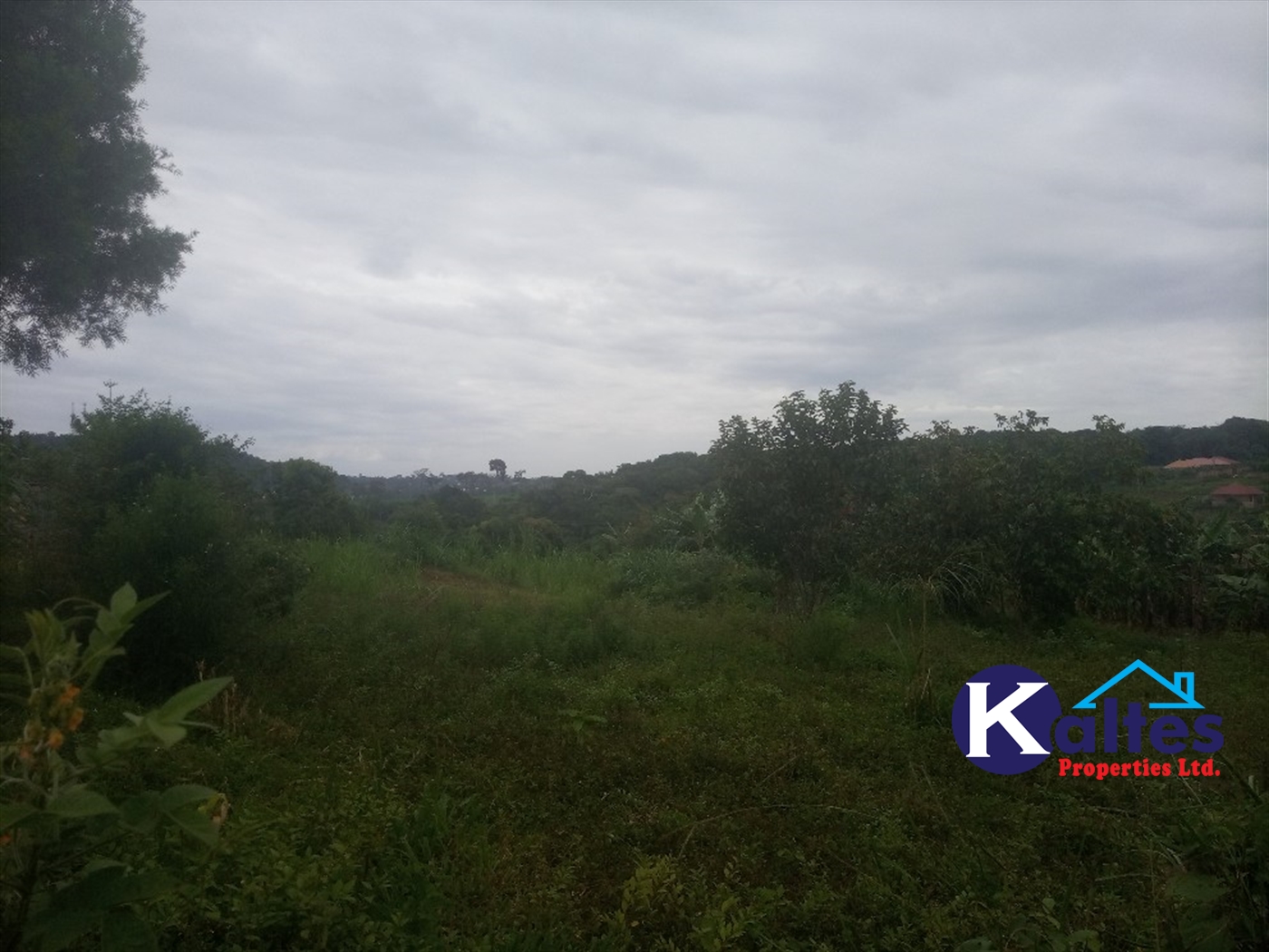 Agricultural Land for sale in Busungiri Kayunga