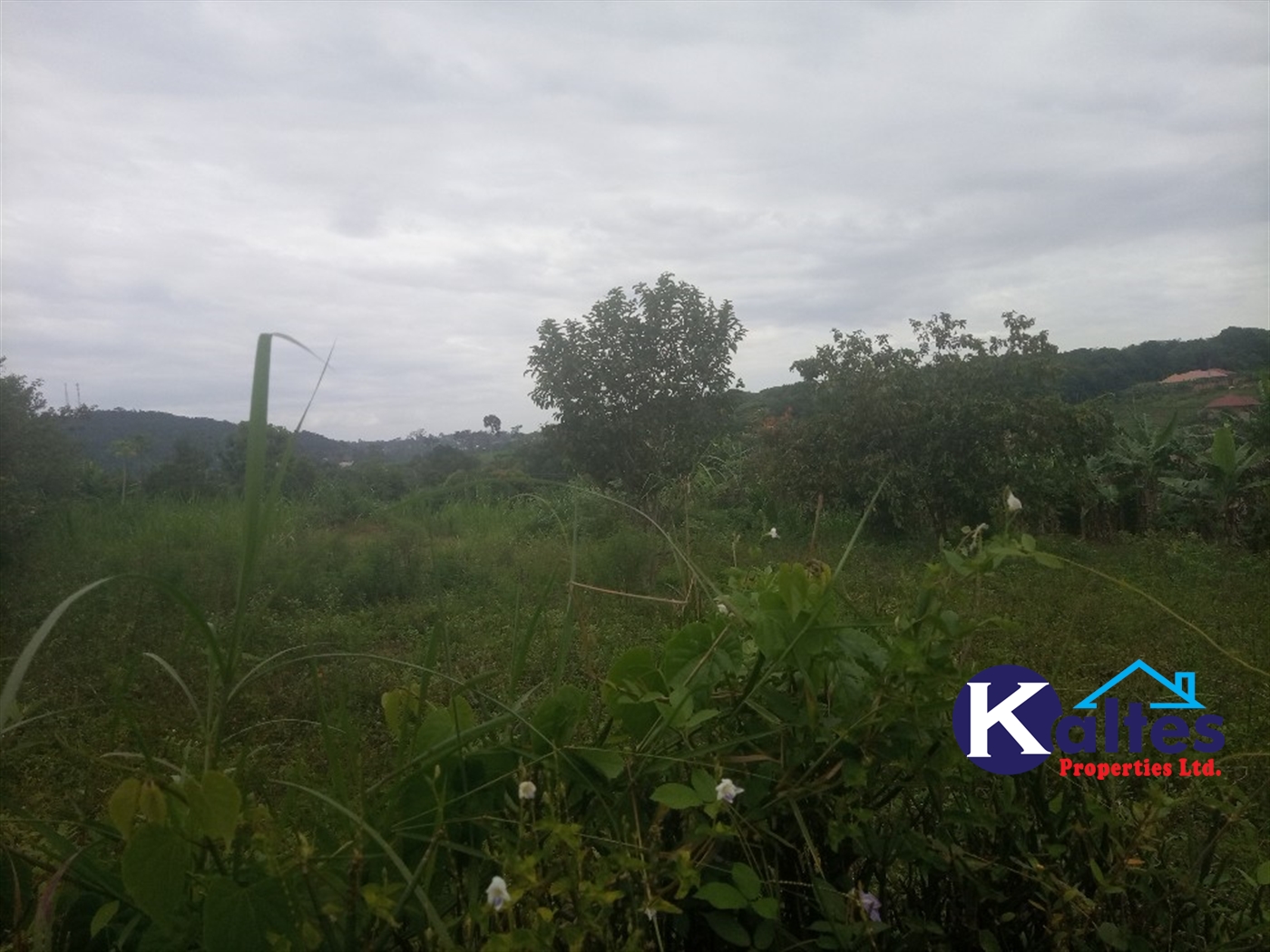 Agricultural Land for sale in Busungiri Kayunga