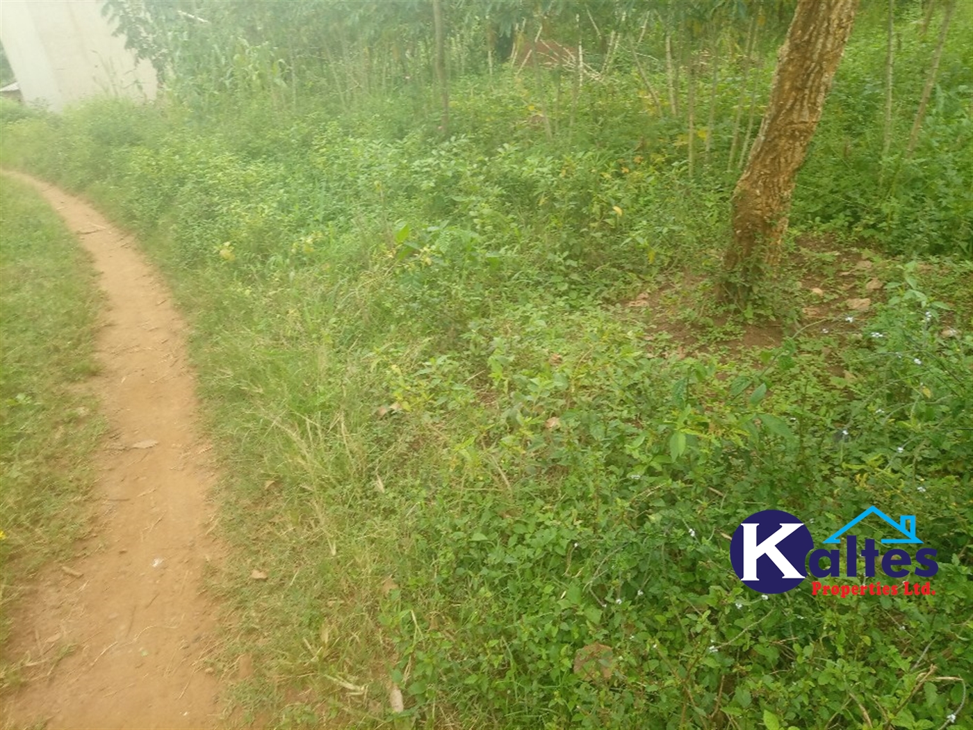 Agricultural Land for sale in Busungiri Kayunga