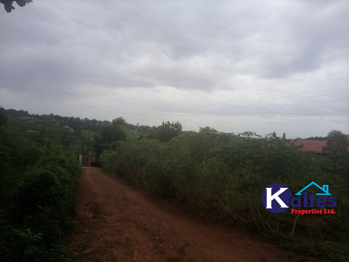 Agricultural Land for sale in Busungiri Kayunga