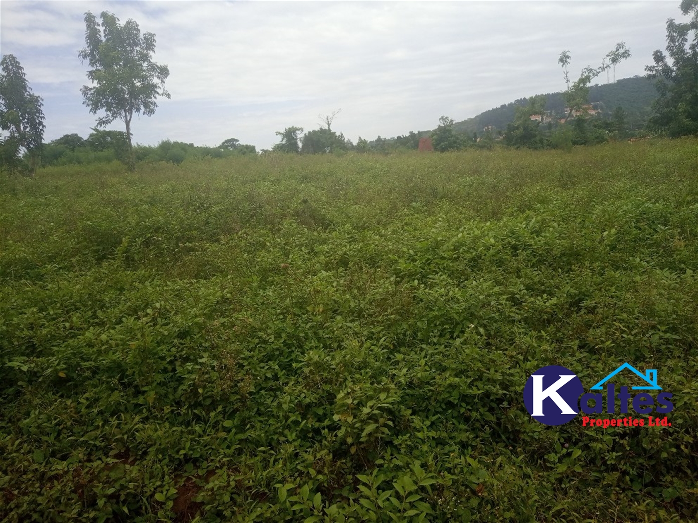 Agricultural Land for sale in Busungiri Kayunga