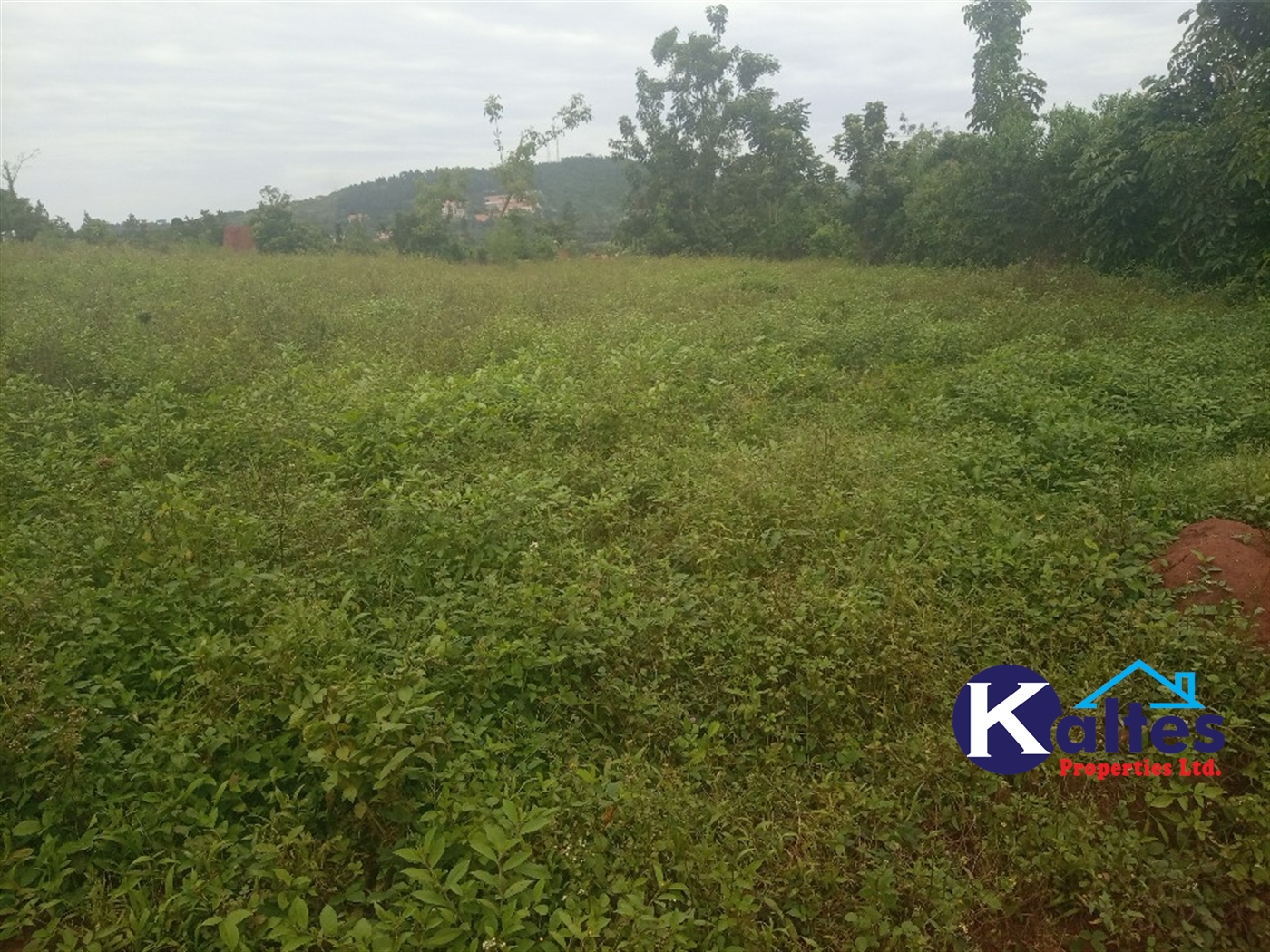 Agricultural Land for sale in Busungiri Kayunga