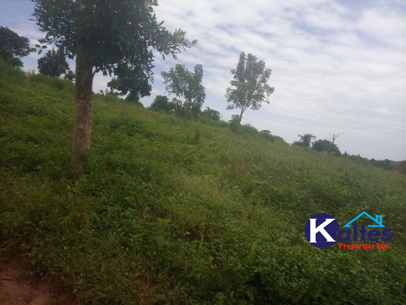 Agricultural Land for sale in Bweyale Kayunga