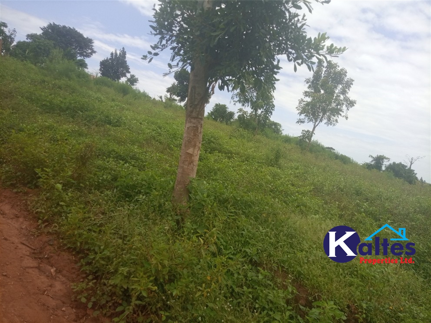 Agricultural Land for sale in Bweyale Kayunga